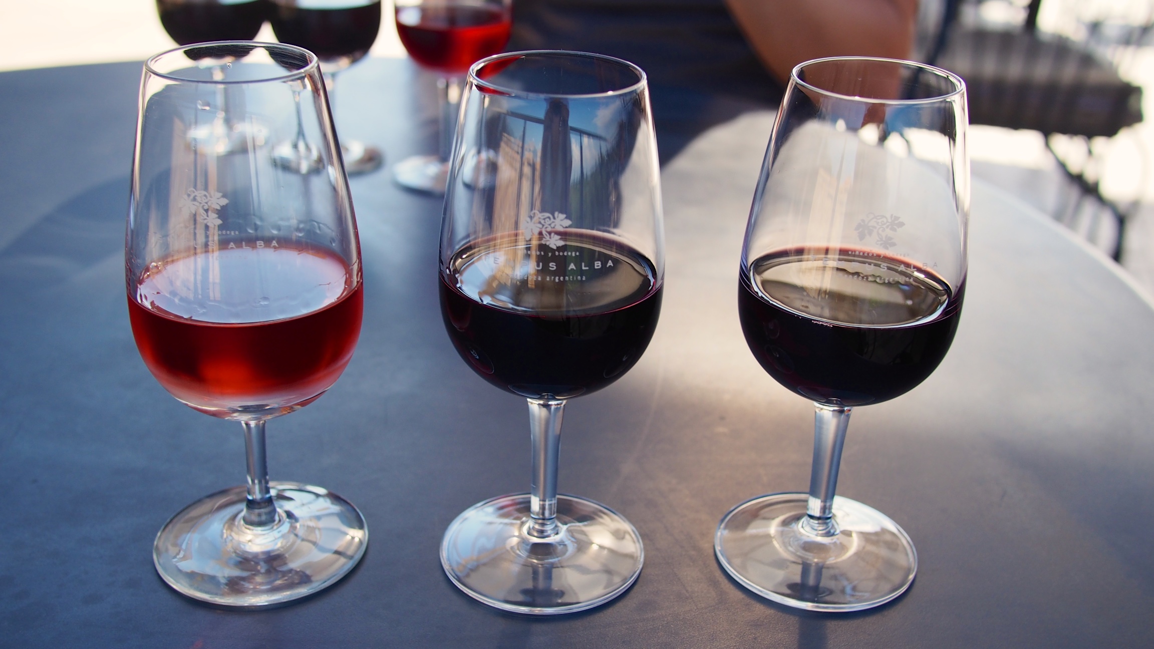 A picture we took in Mendoza at the Tempus Alba winery
