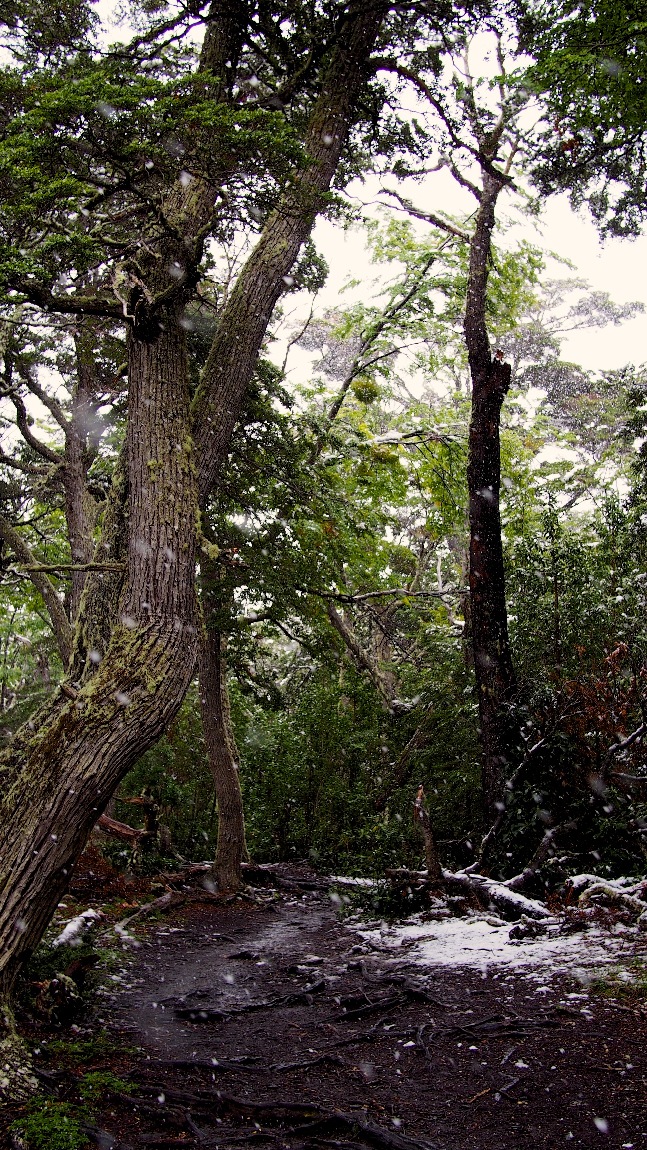 We encountered heavy snow for most of our hike