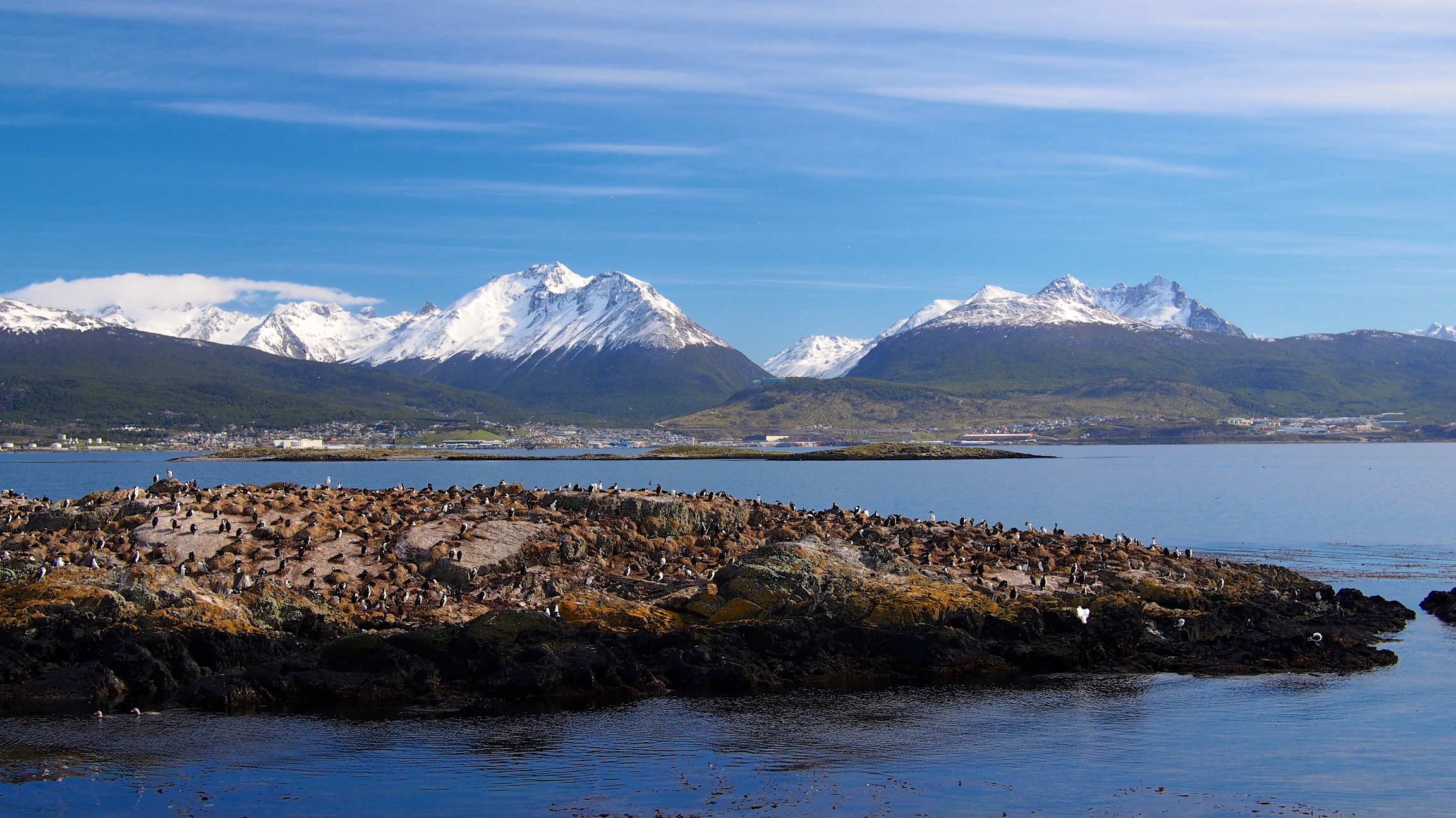 Islets full of sea lions and cormorants
