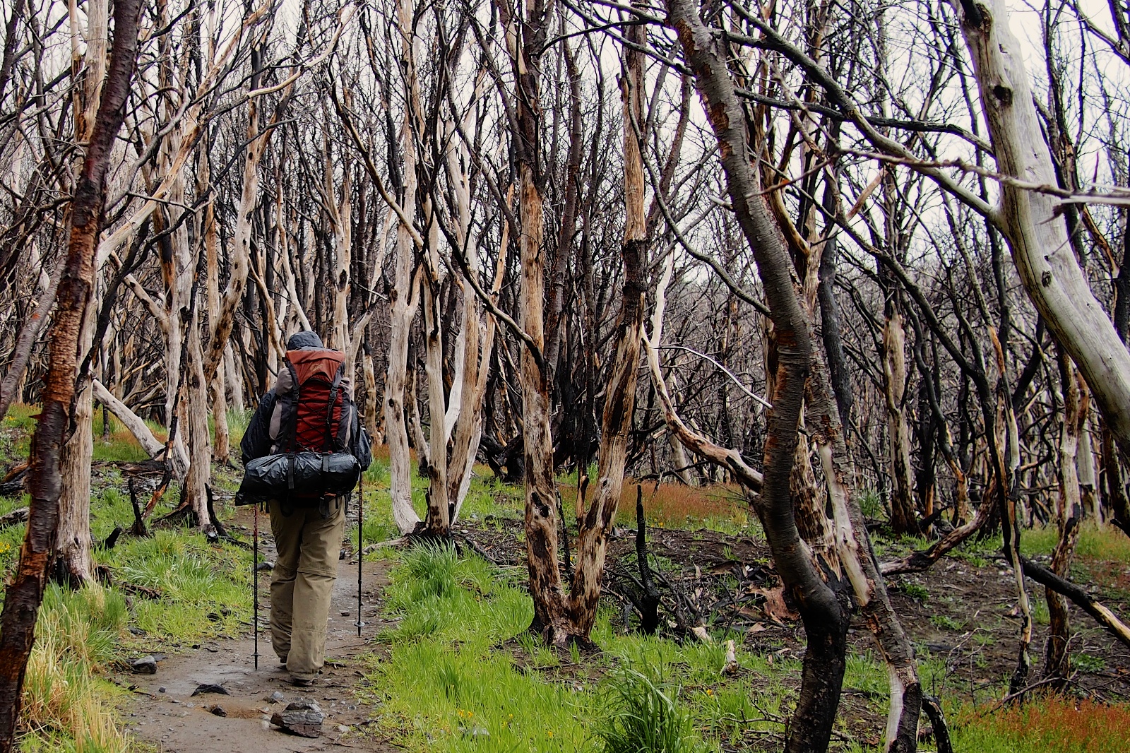 The damage from the fire was extensive, but was confined mostly to the west part of the W