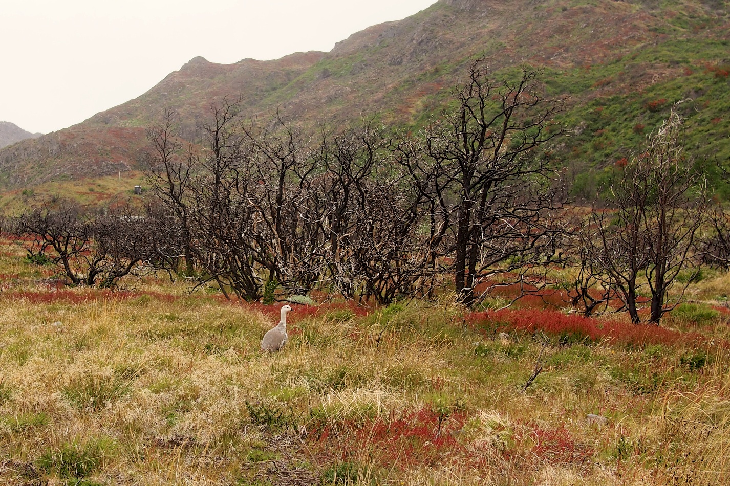 Don't walk too fast and you'll see tons of wildlife that might otherwise go unnoticed