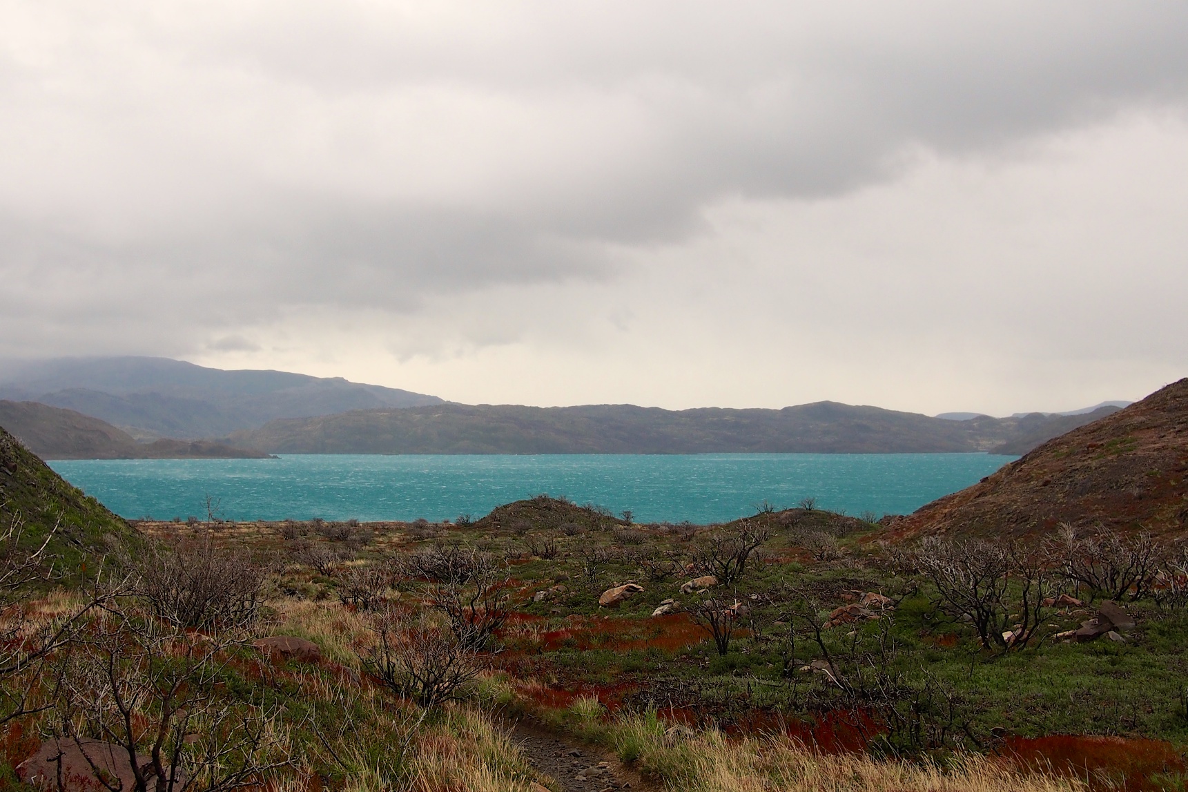 Working our way back towards Lago Pehoé on the second day, our worst weather day