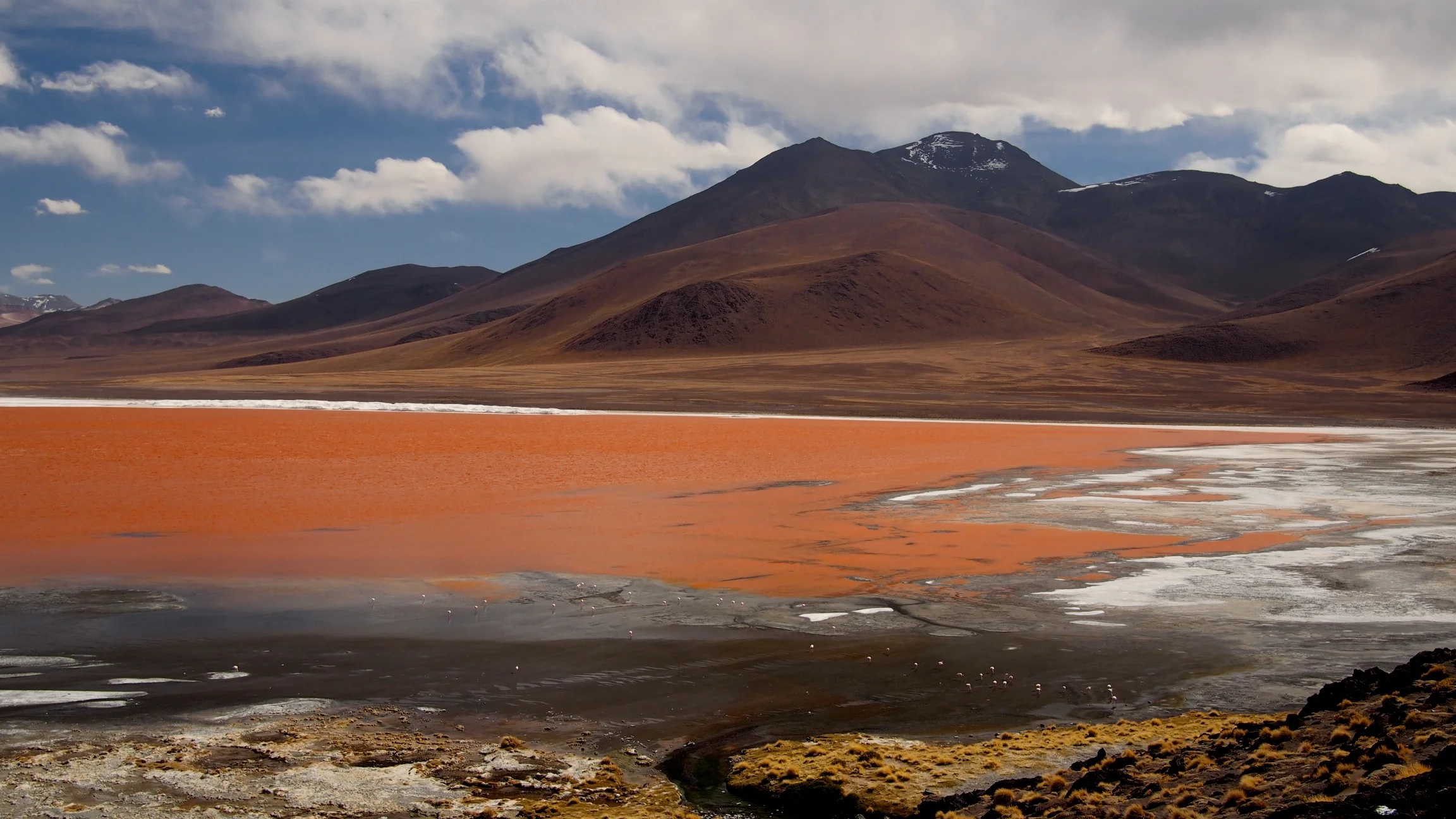 Laguna Colorada - Salar de Uyuni, Bolivia