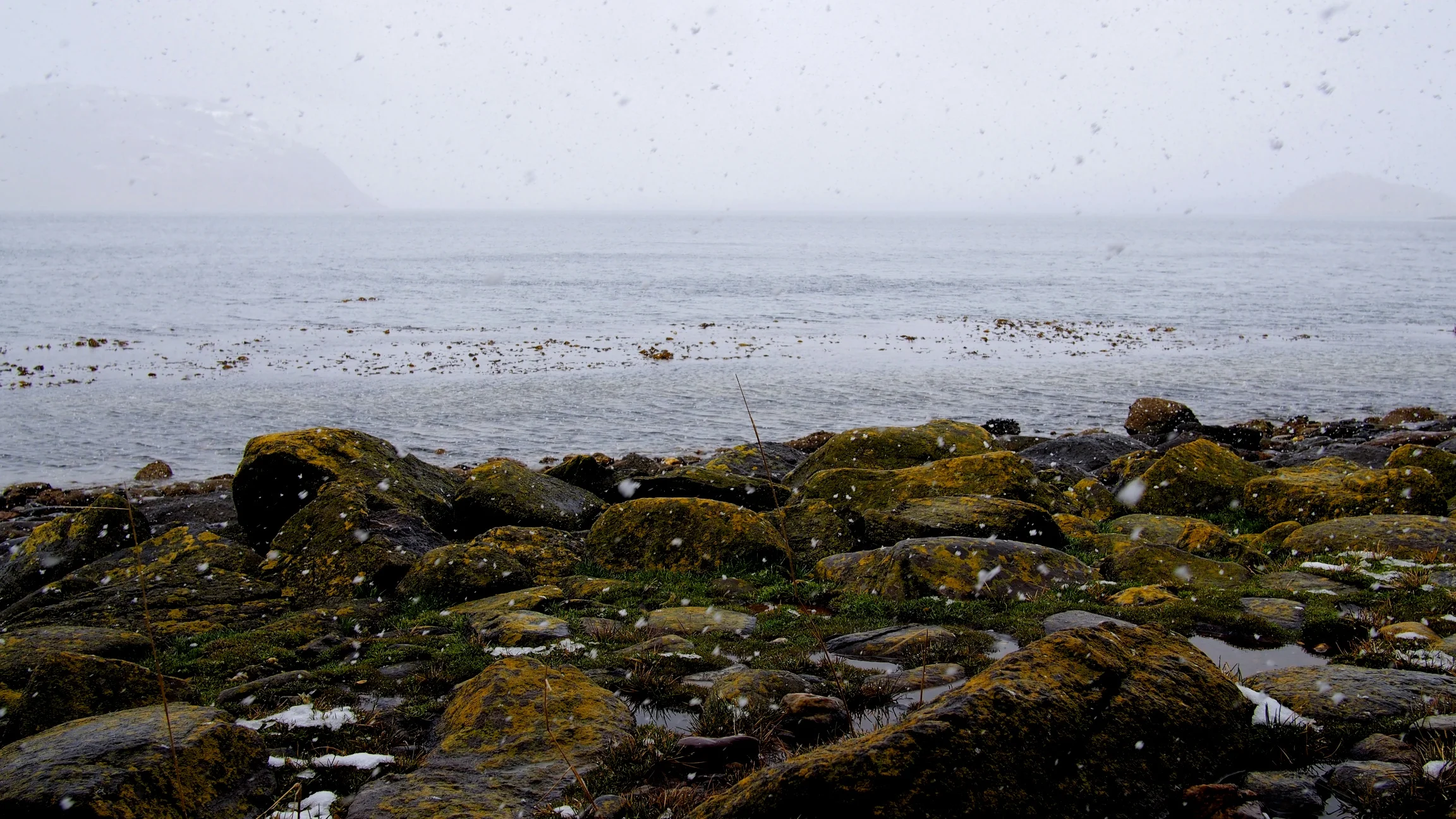 Tierra del Fuego National Park - Ushuaia, Argentina