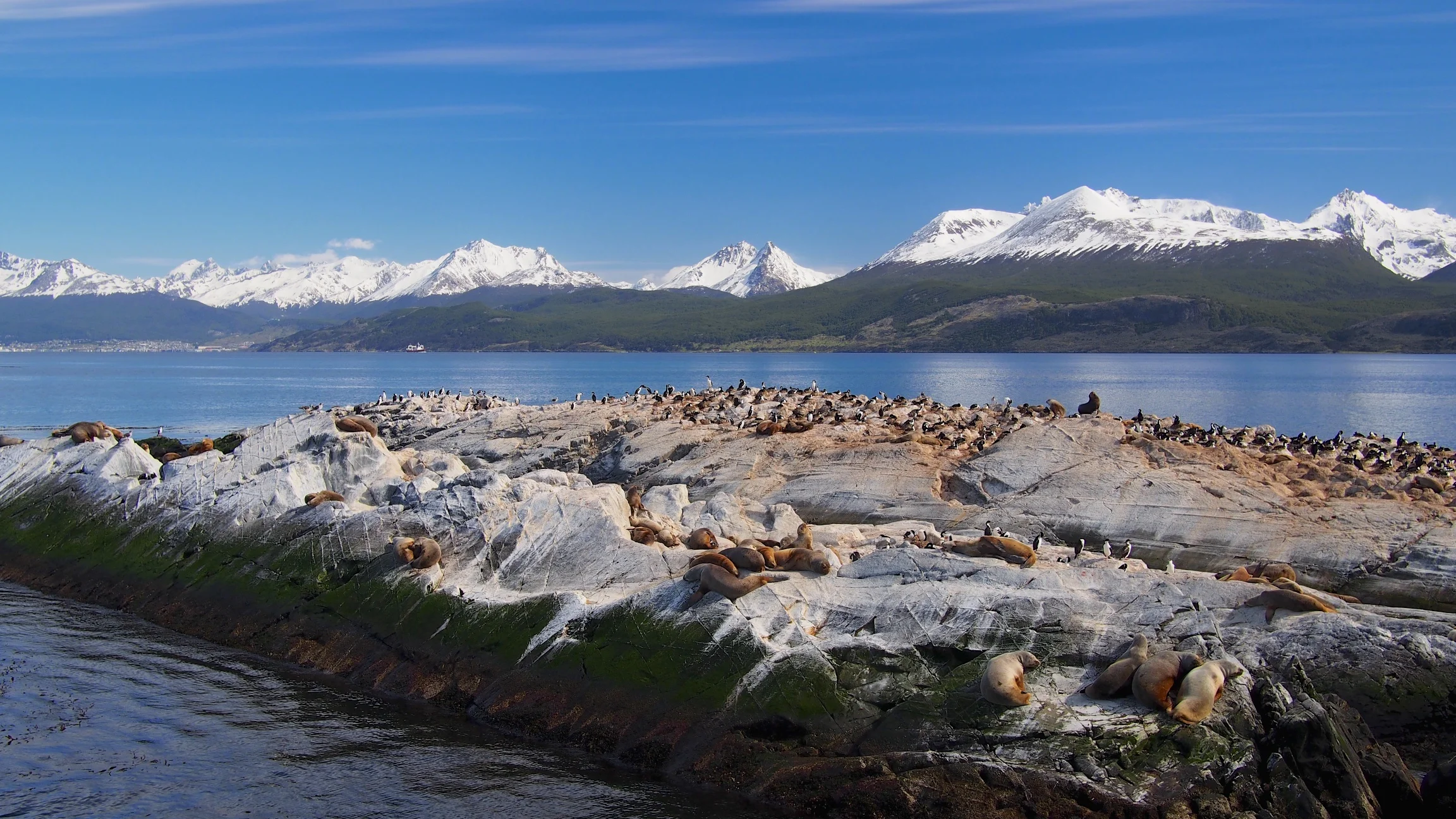 Beagle Channel Tour - Ushuaia, Argentina