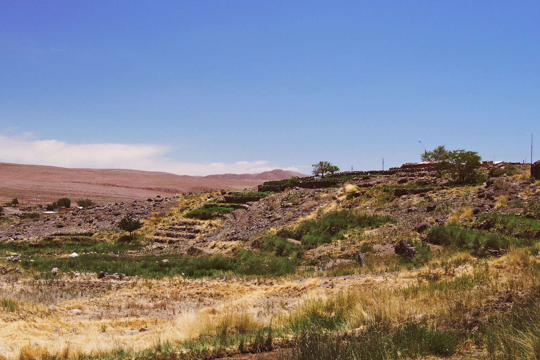 Ancient Incan farming terraces. Below, a clock tower and a close up of its door made out of cactus