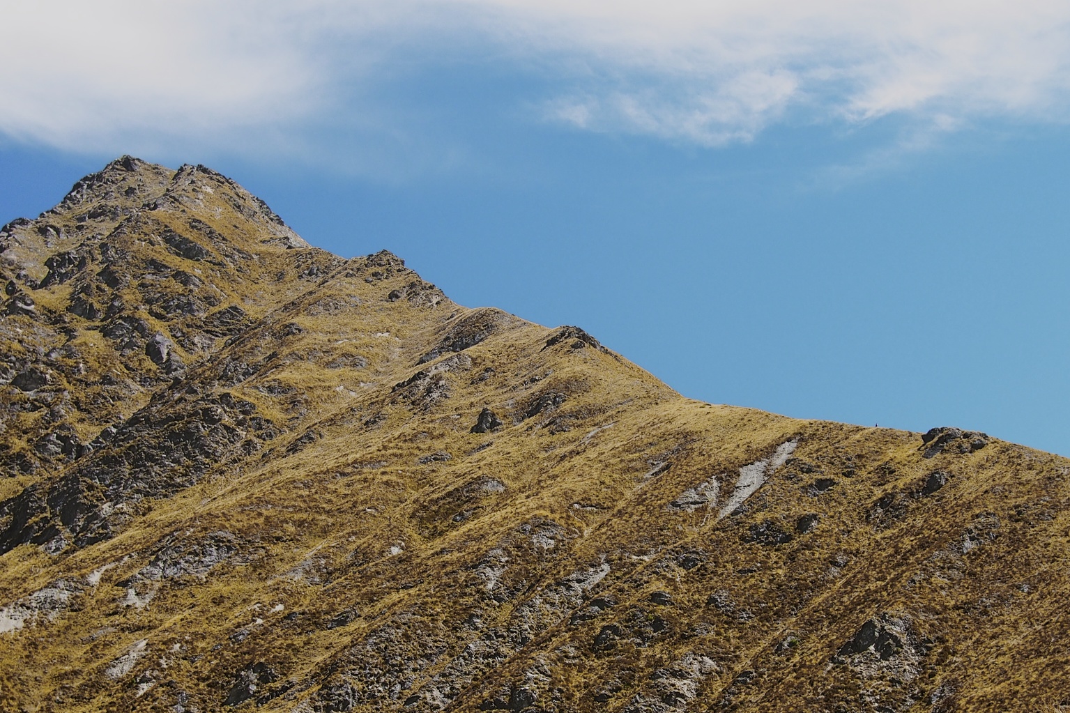 This is the view from the saddle looking towards the peak of Ben Lomond. It's a steep climb to the top.