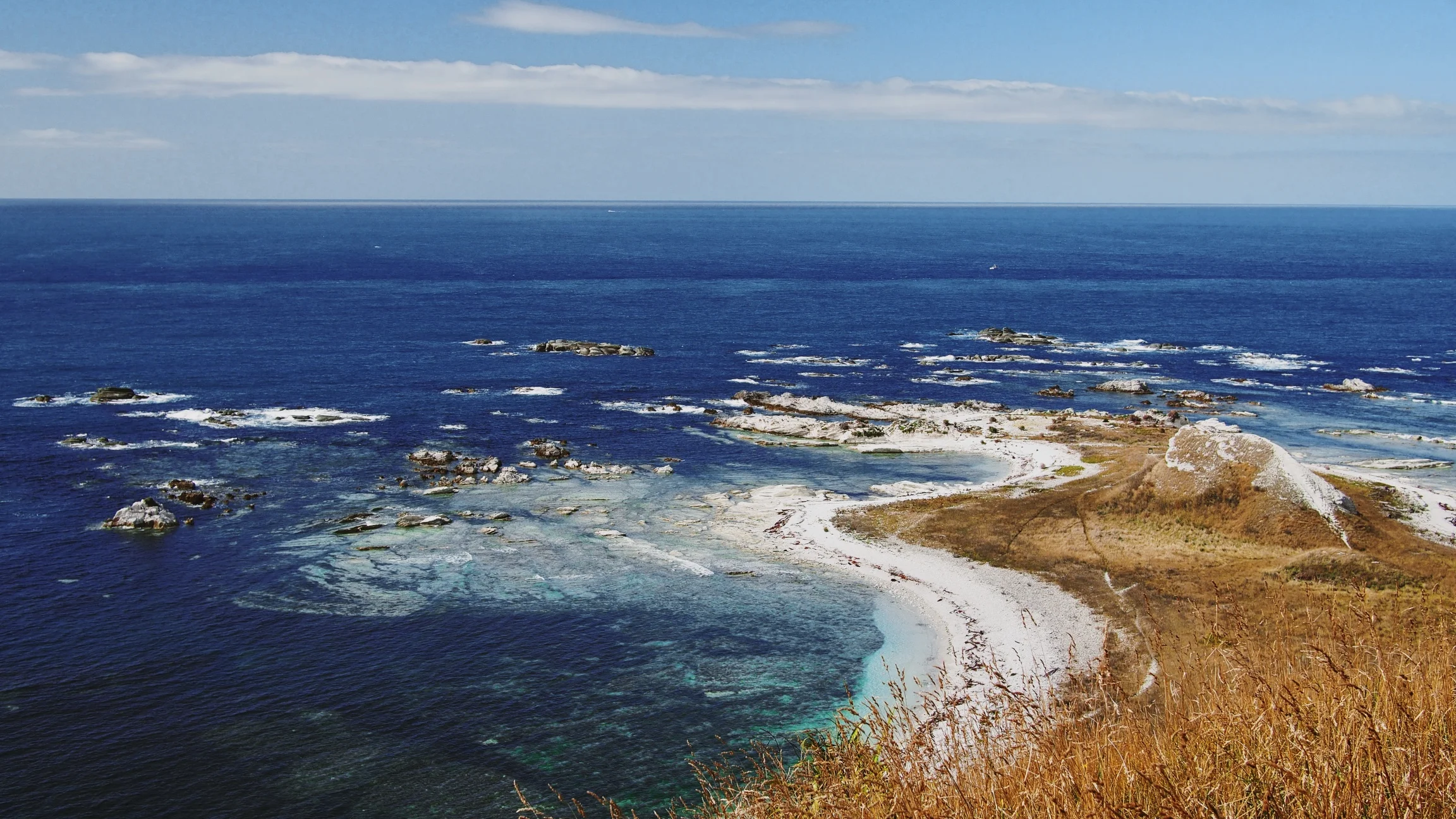 Kiwi Road Trip Part Ii Kaikoura Motueka Nelson Picton East