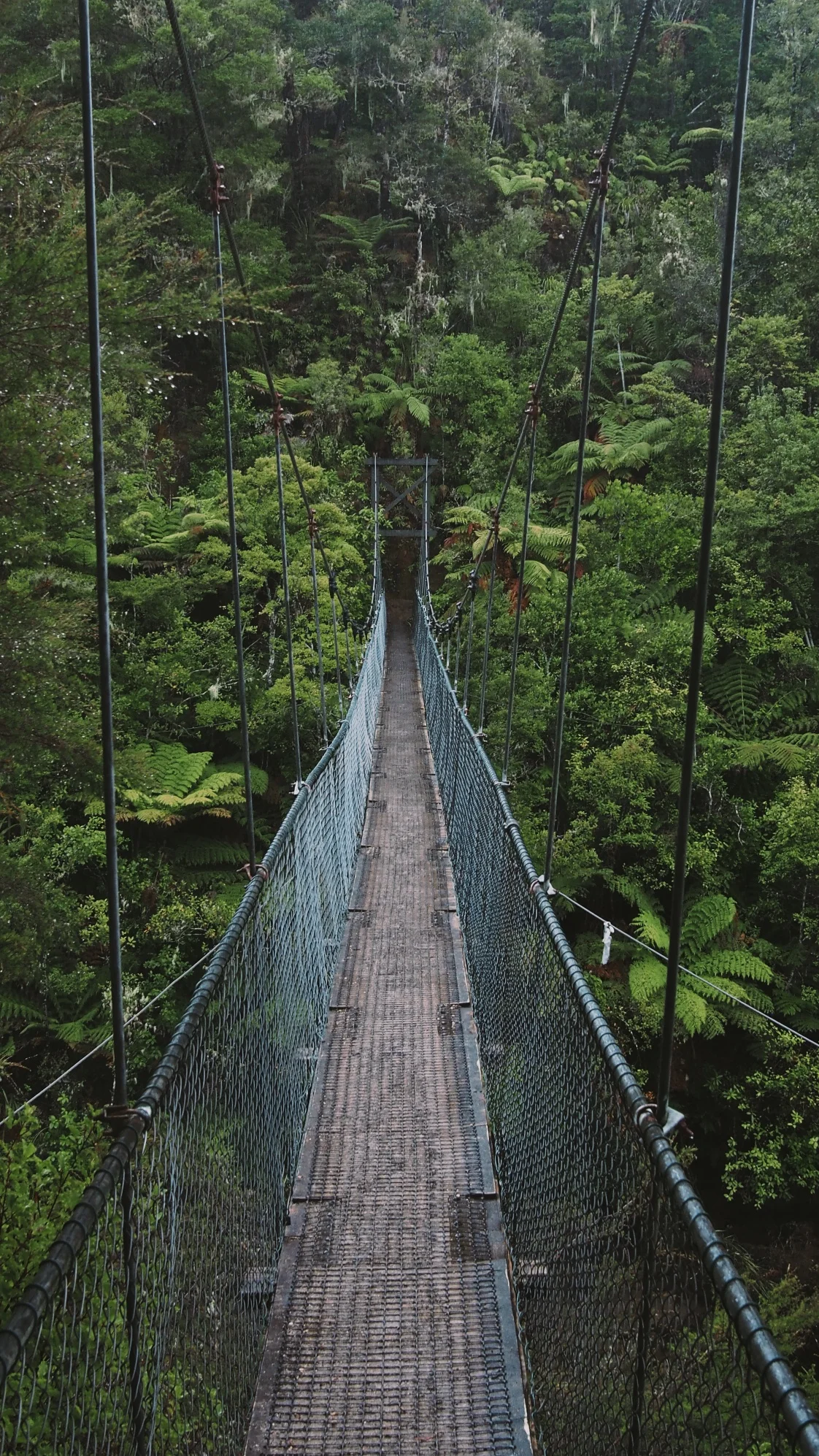 Abel Tasman National Park, New Zealand