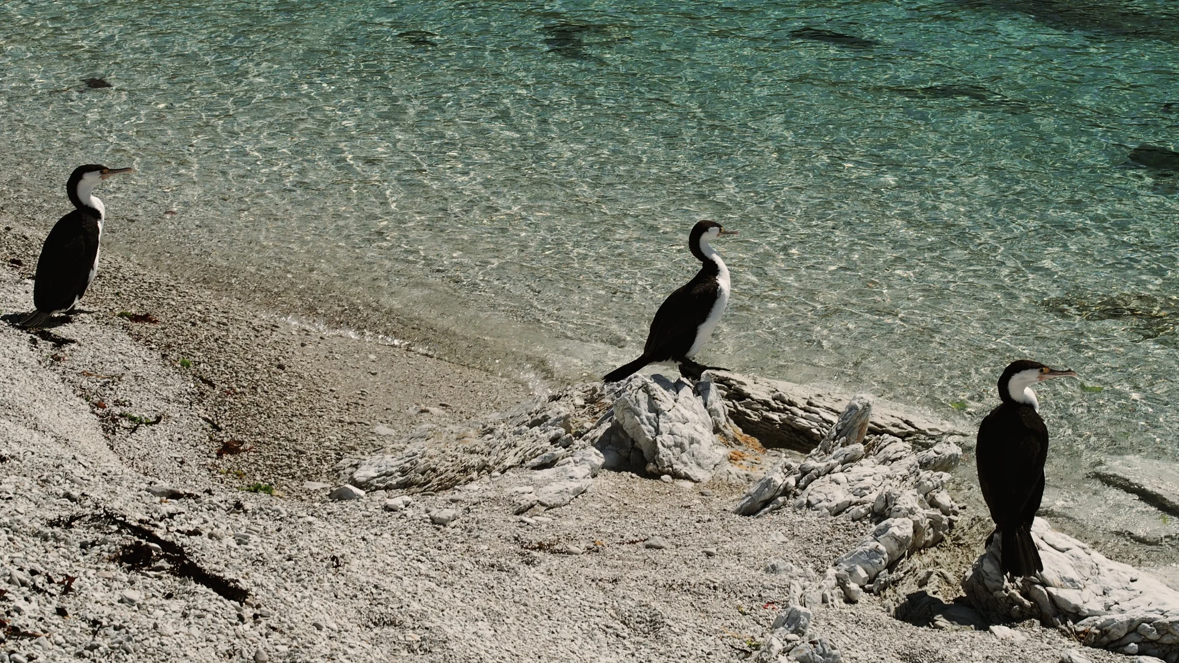 Kaikoura, New Zealand