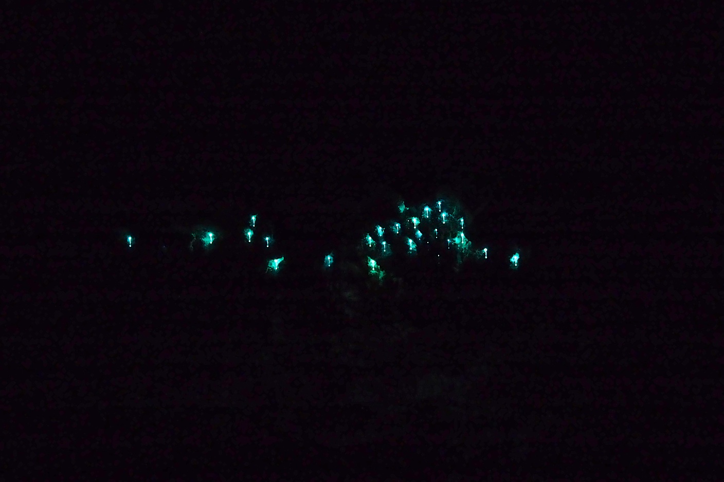 After 9 hours of hiking, we drove 2 hours to Waitomo so we could see some glowworms that night. We chose to forego the expensive tour and head out to a free cave on our own instead. There were only a few on the night we were there but we still enjoyed the sight!