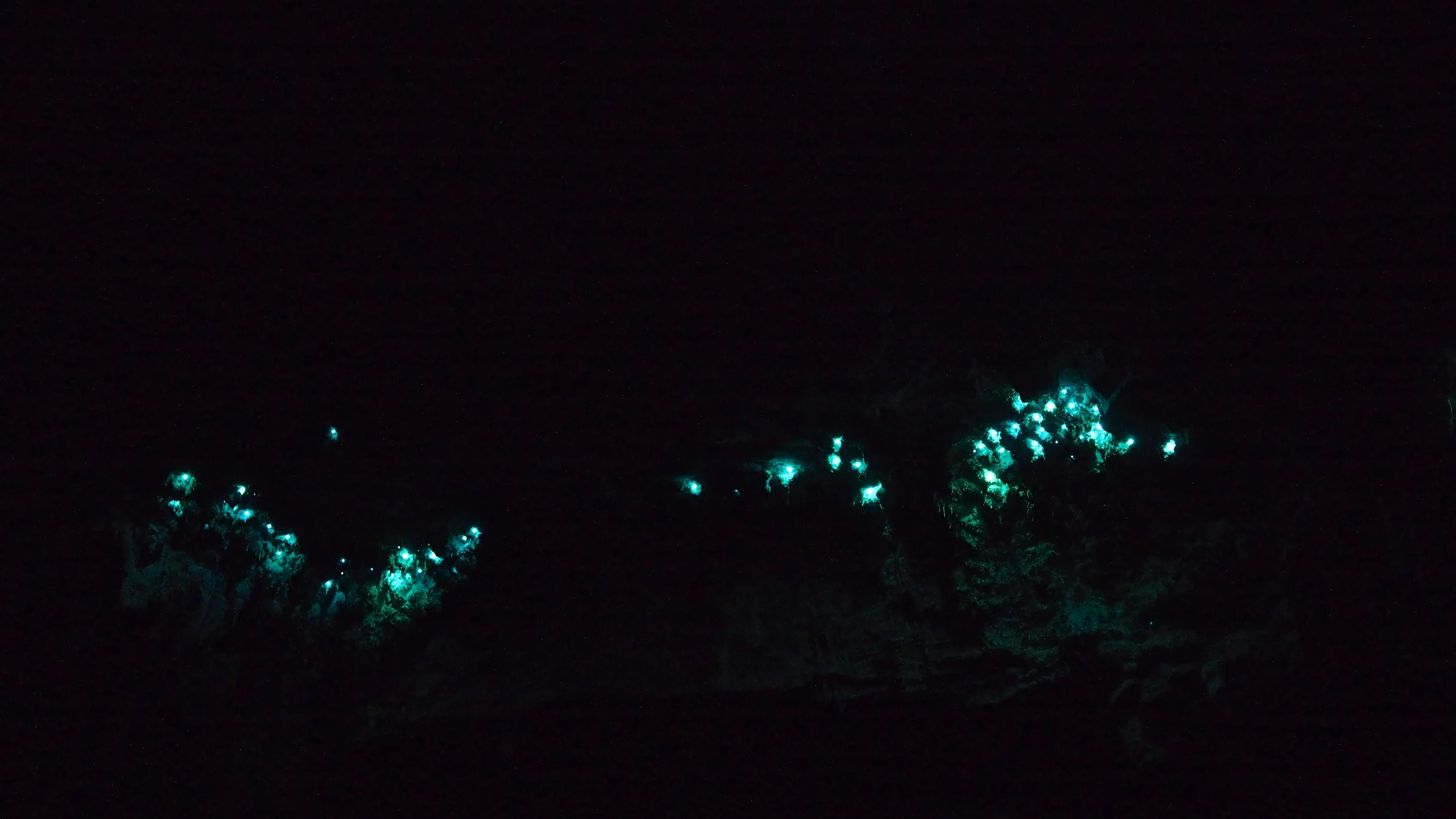 Glowworms - Waitomo, New Zealand
