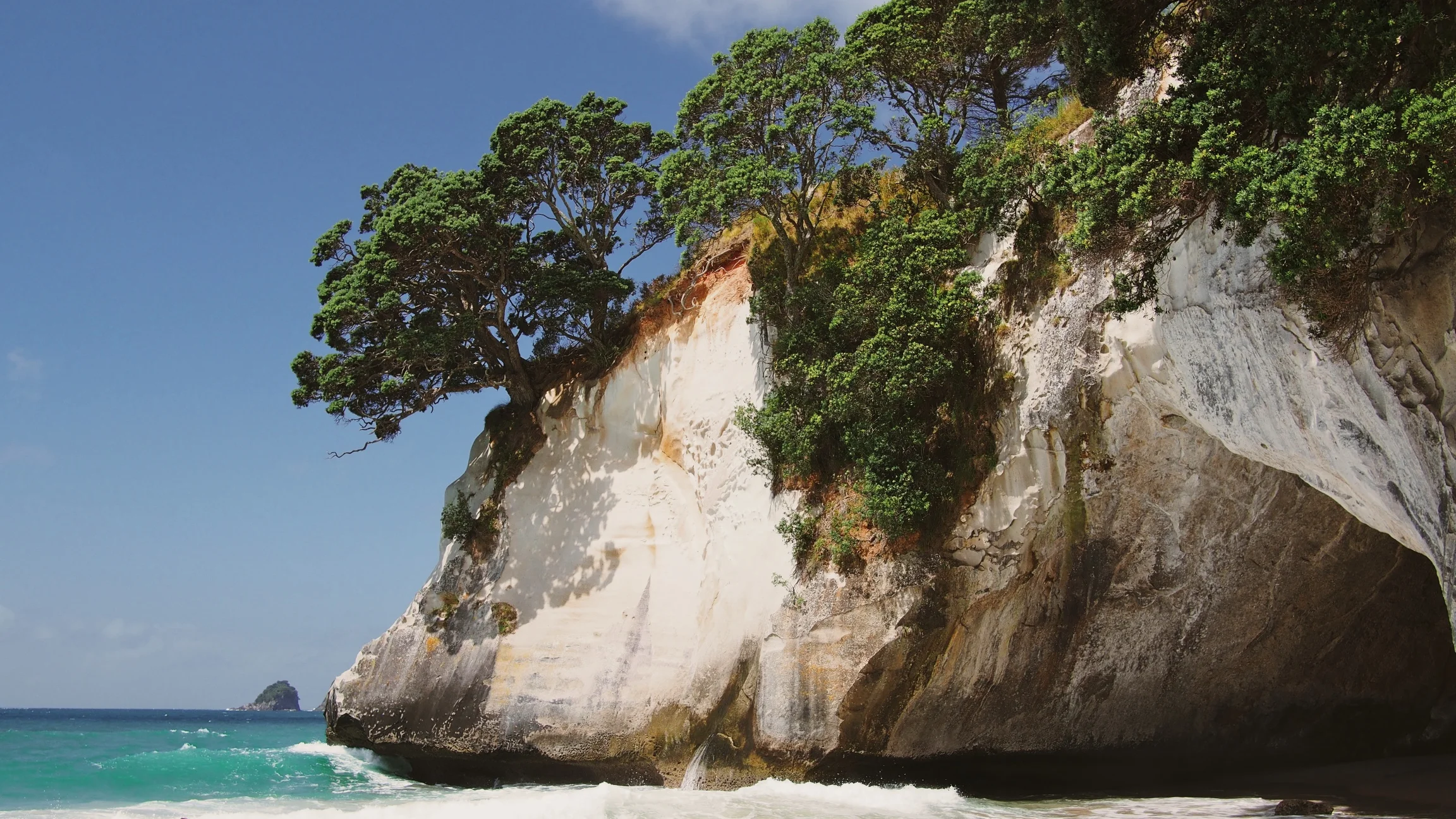 Hangi Pies to Human Hermit Crabs - Rotorua and the Coromandel Coast
