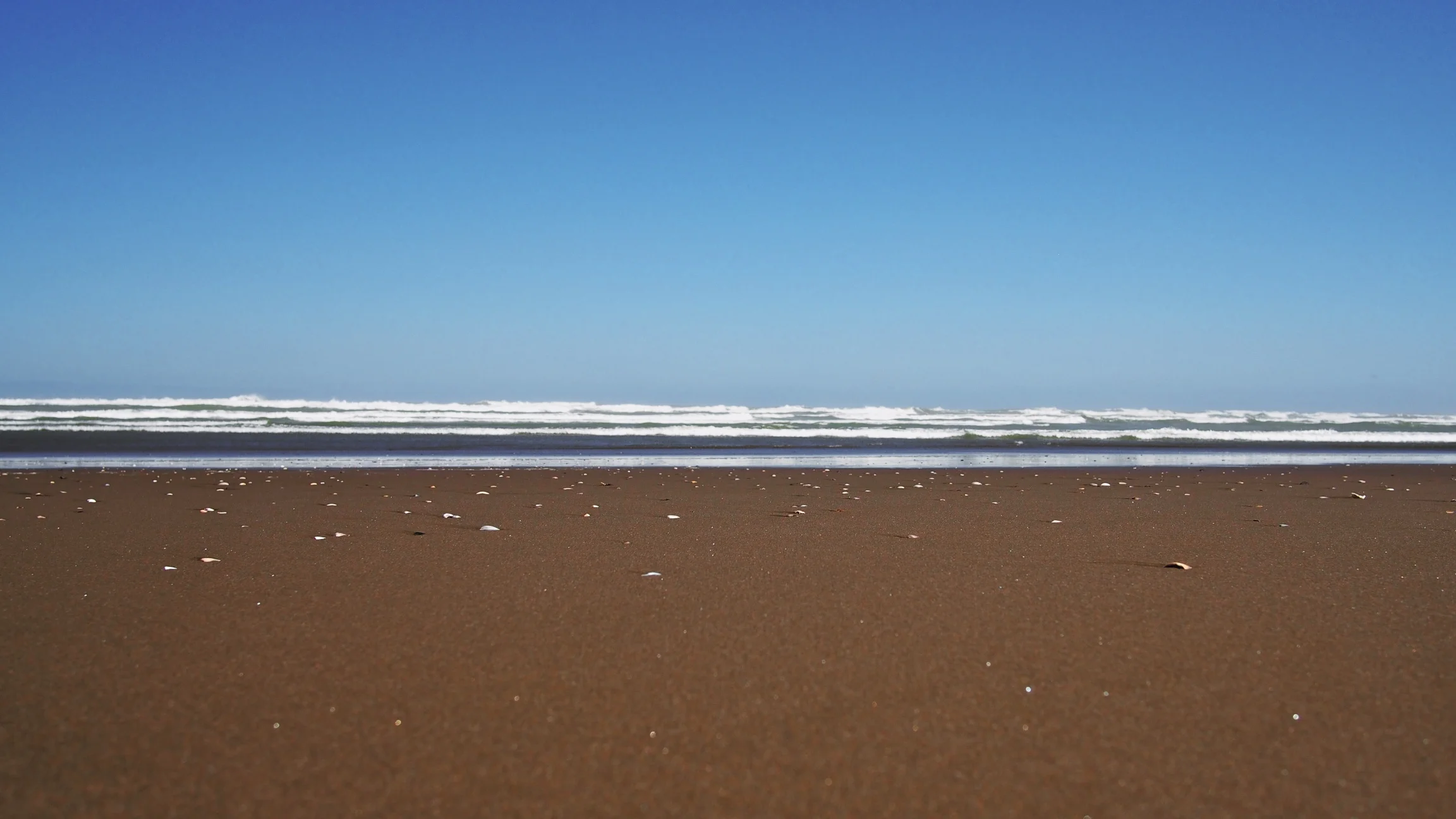 Muriwai Beach - Auckland, New Zealand