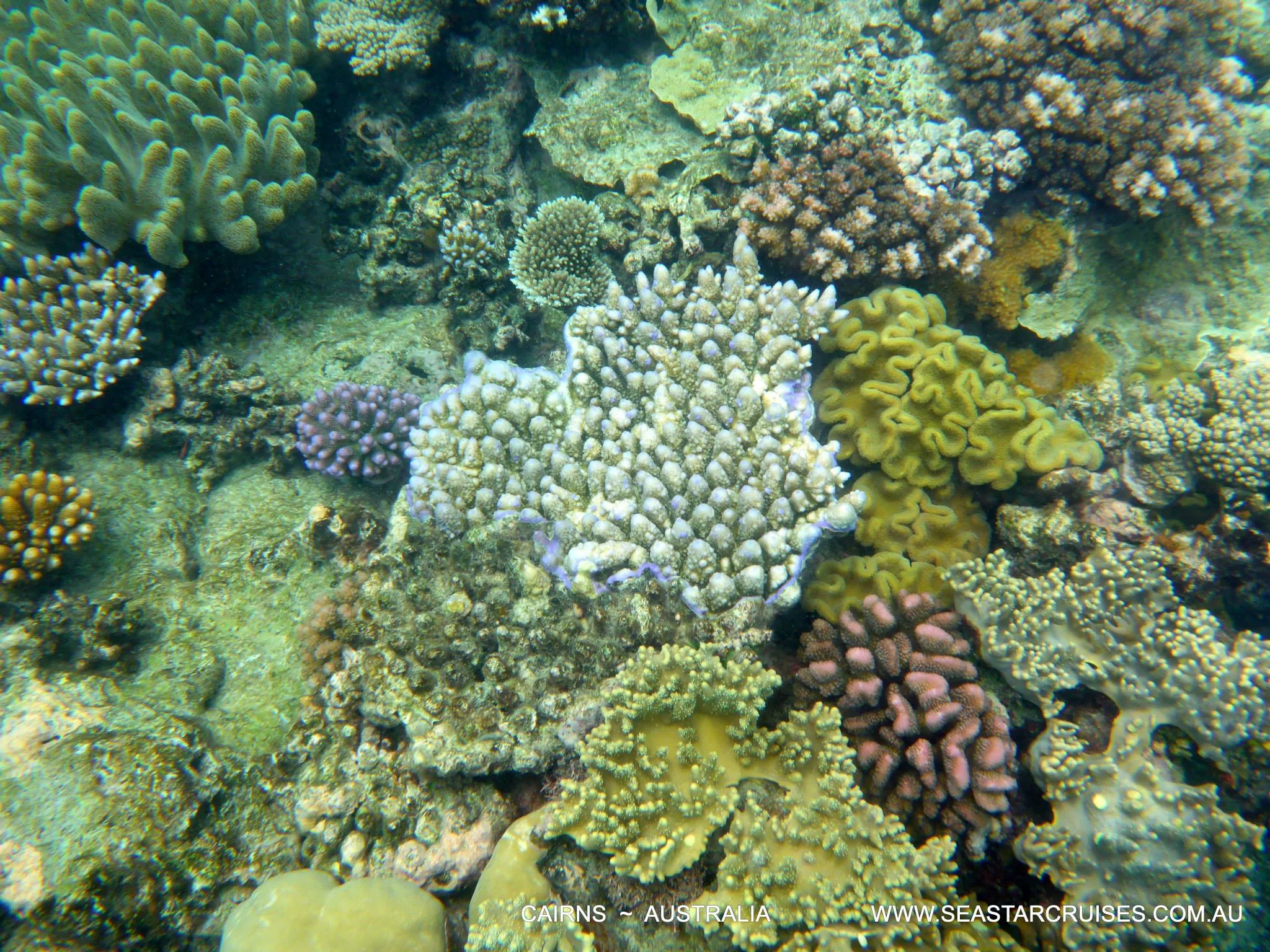 The Great Barrier Reef - Cairns, Australia