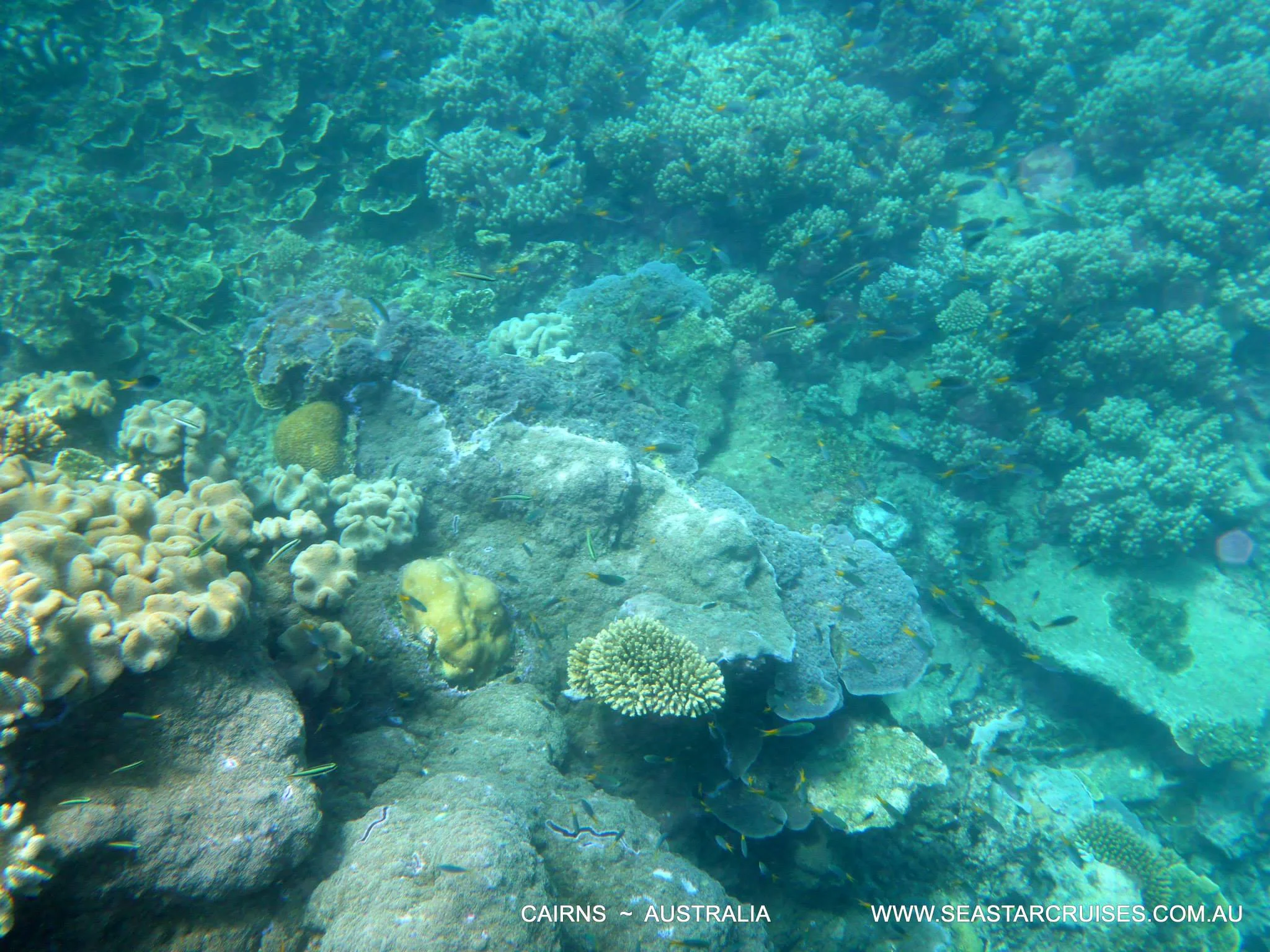 The Great Barrier Reef - Cairns, Australia