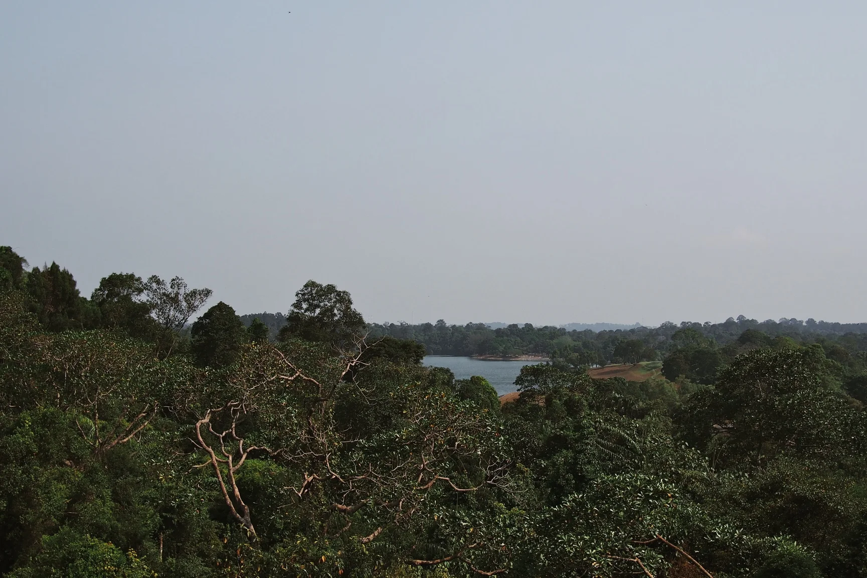 MacRitchie Reservoir - Singapore