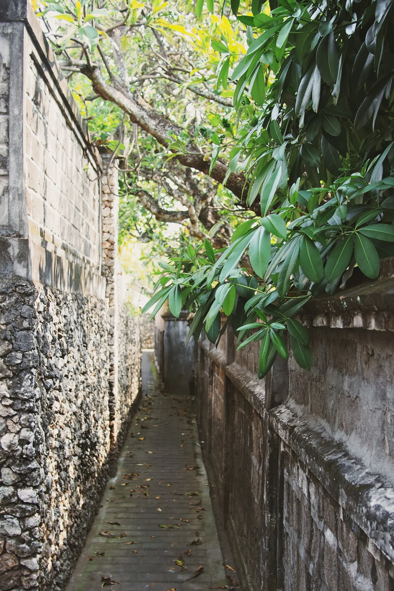 Bali.jpg