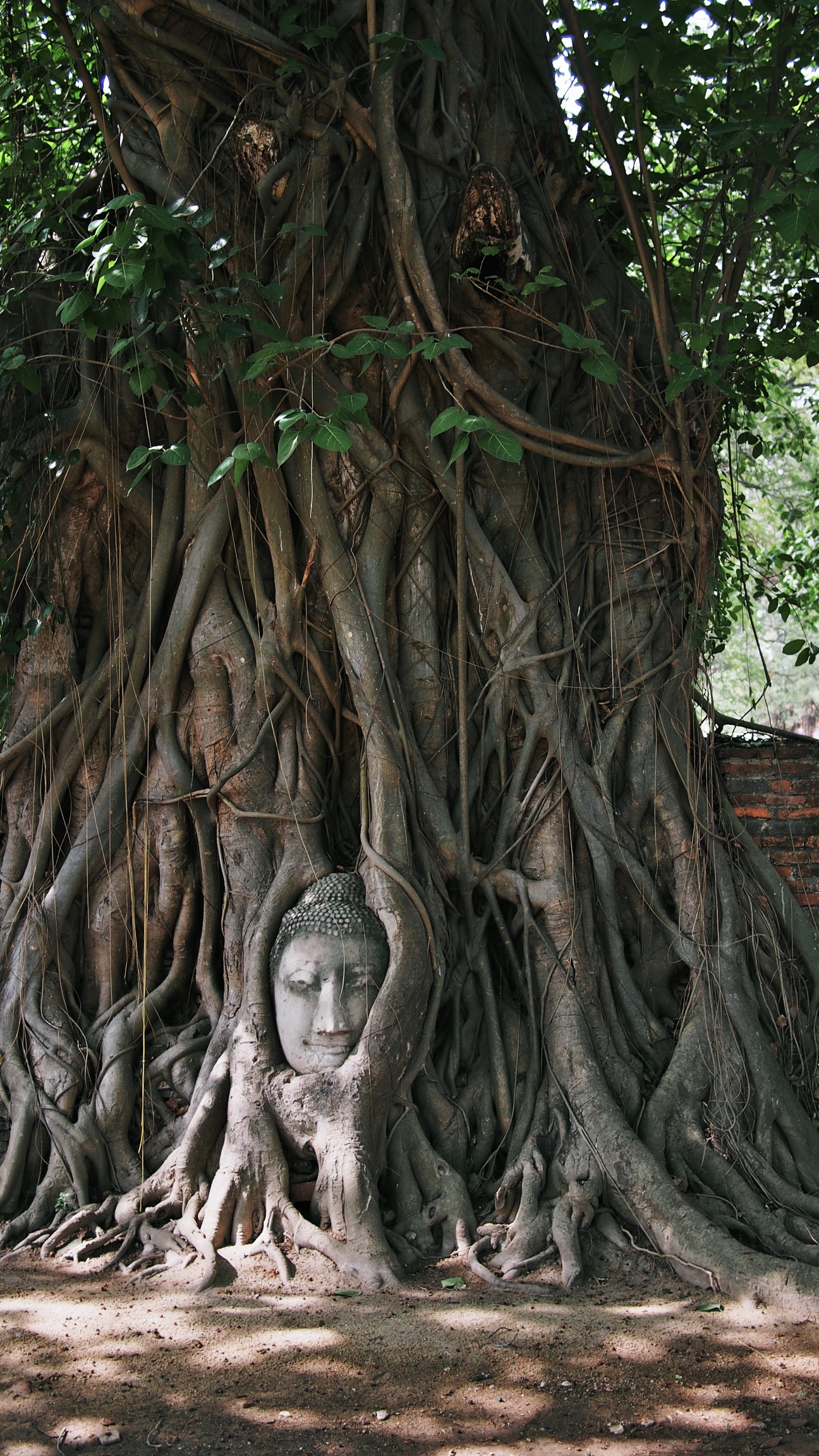 Wat Maha That
