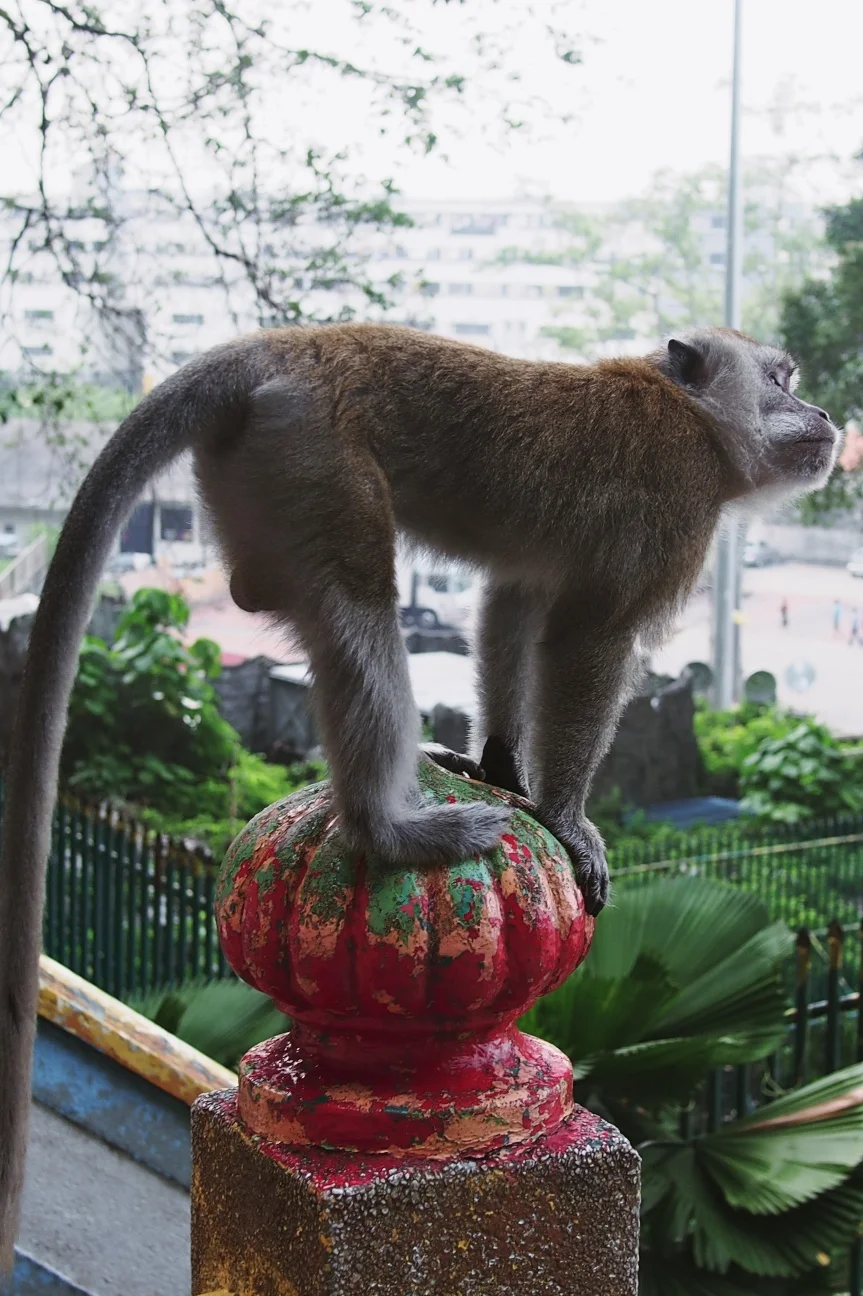Batu Caves - Kuala Lumpur, Malaysia