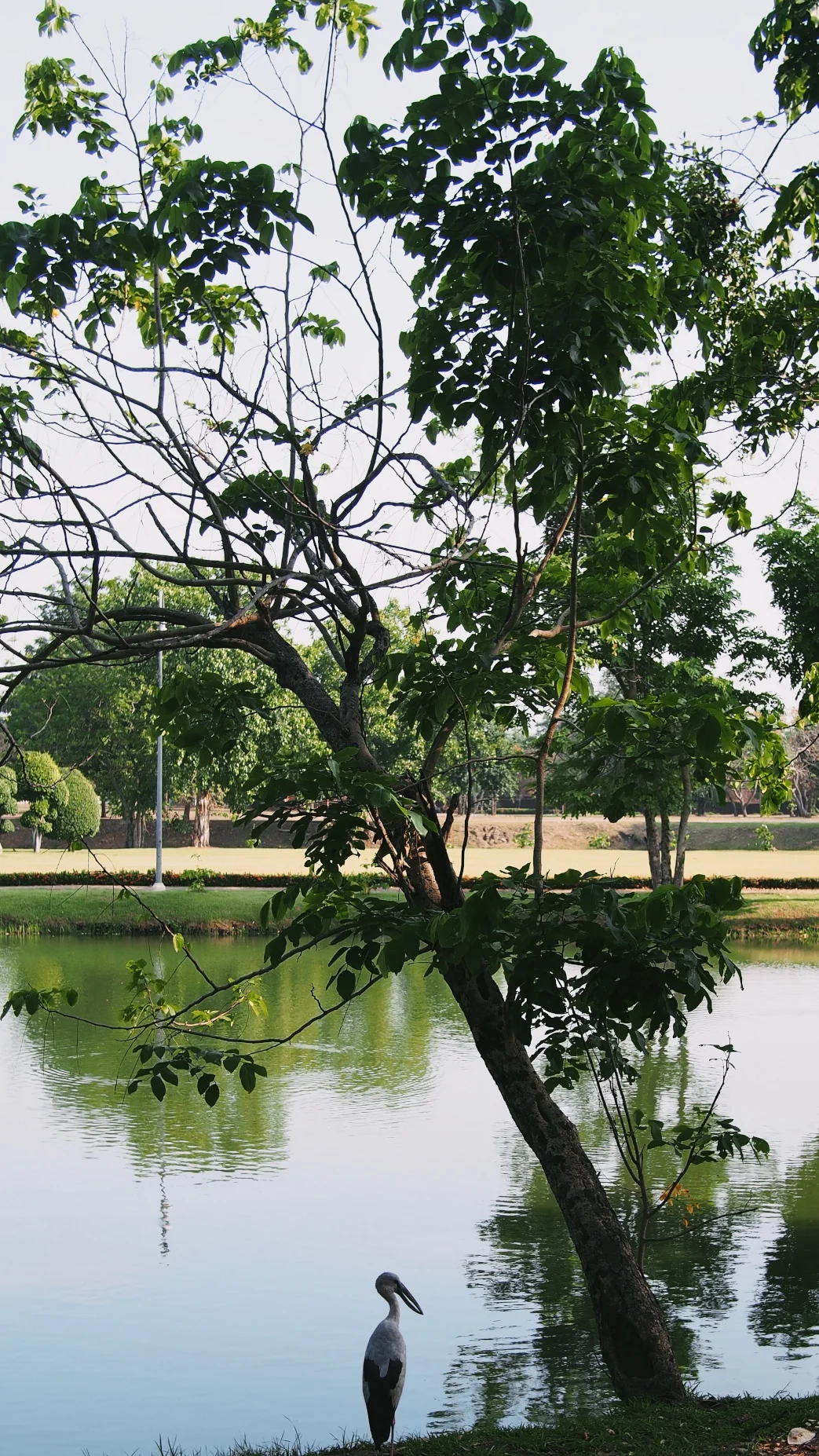 Ayutthaya, Thailand