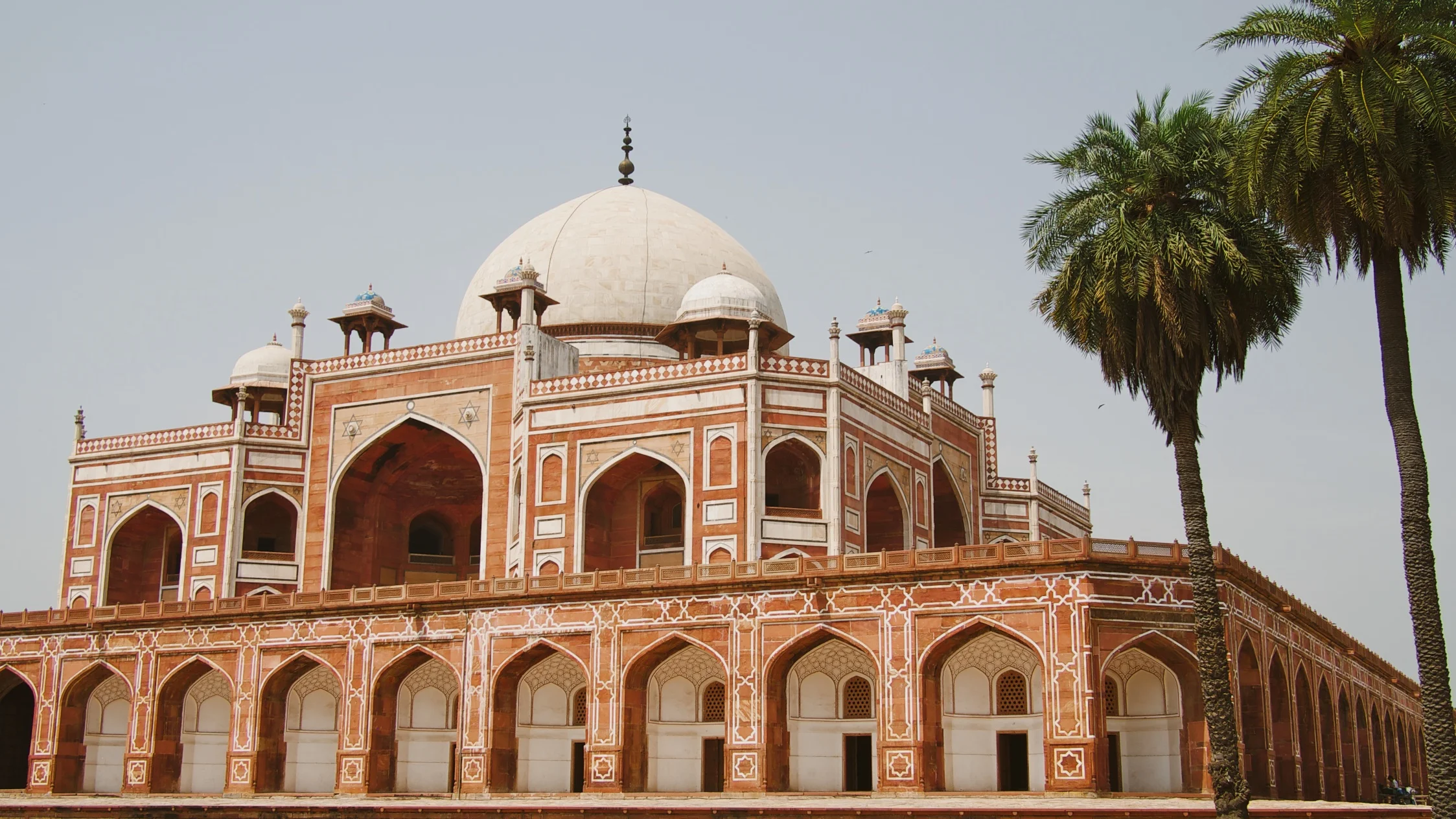 Top 5 Things we Did in Delhi