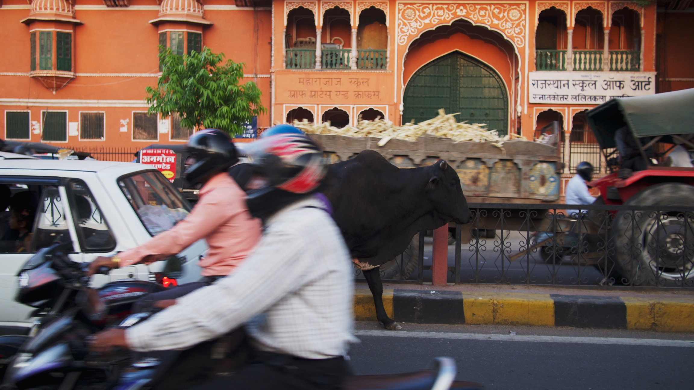 A typical sight in India