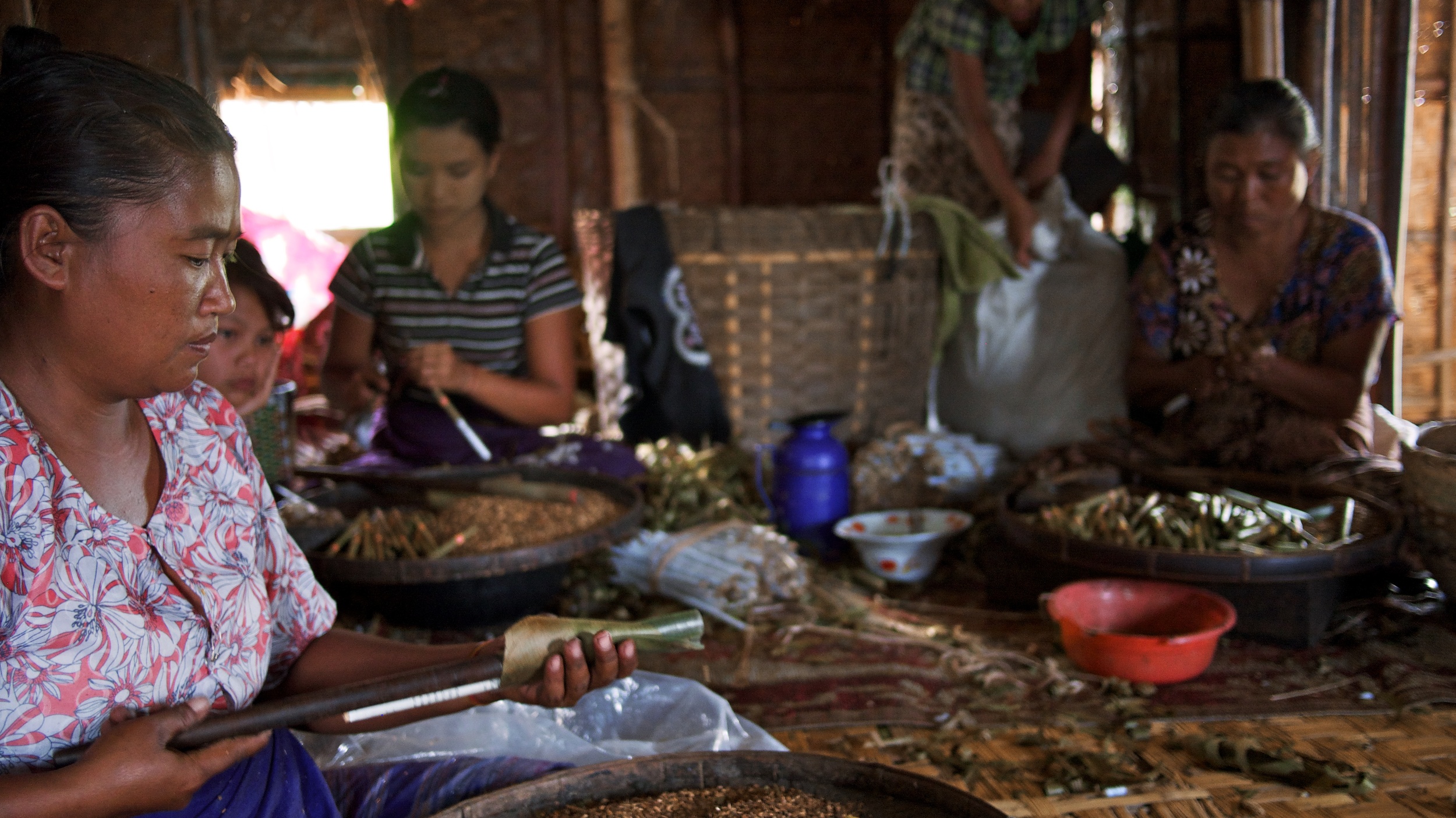 Each woman makes 500-700 cigars per day