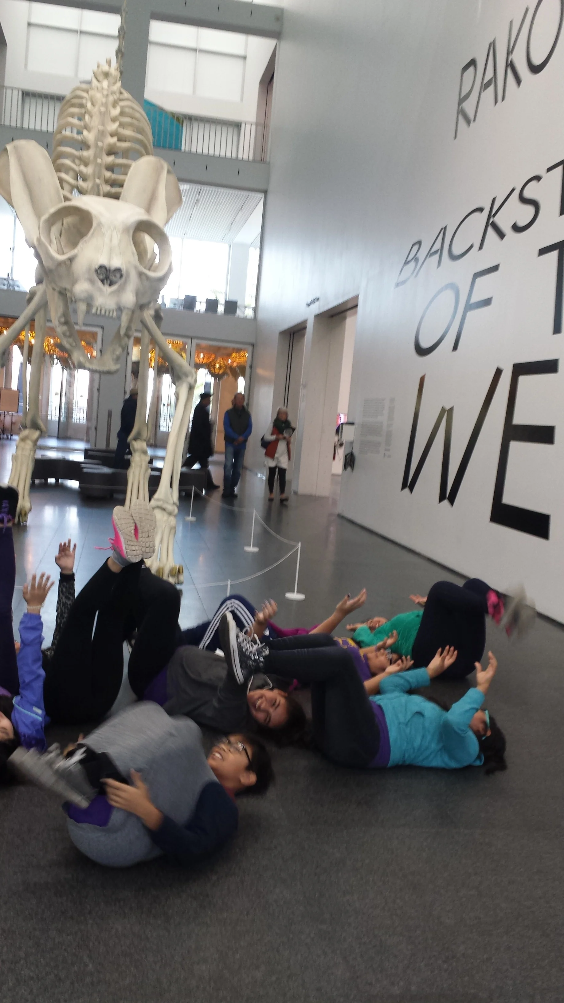 20171027_114655.jpg