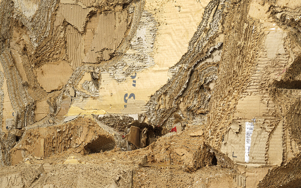 luis-sahagun-cardboard.jpg