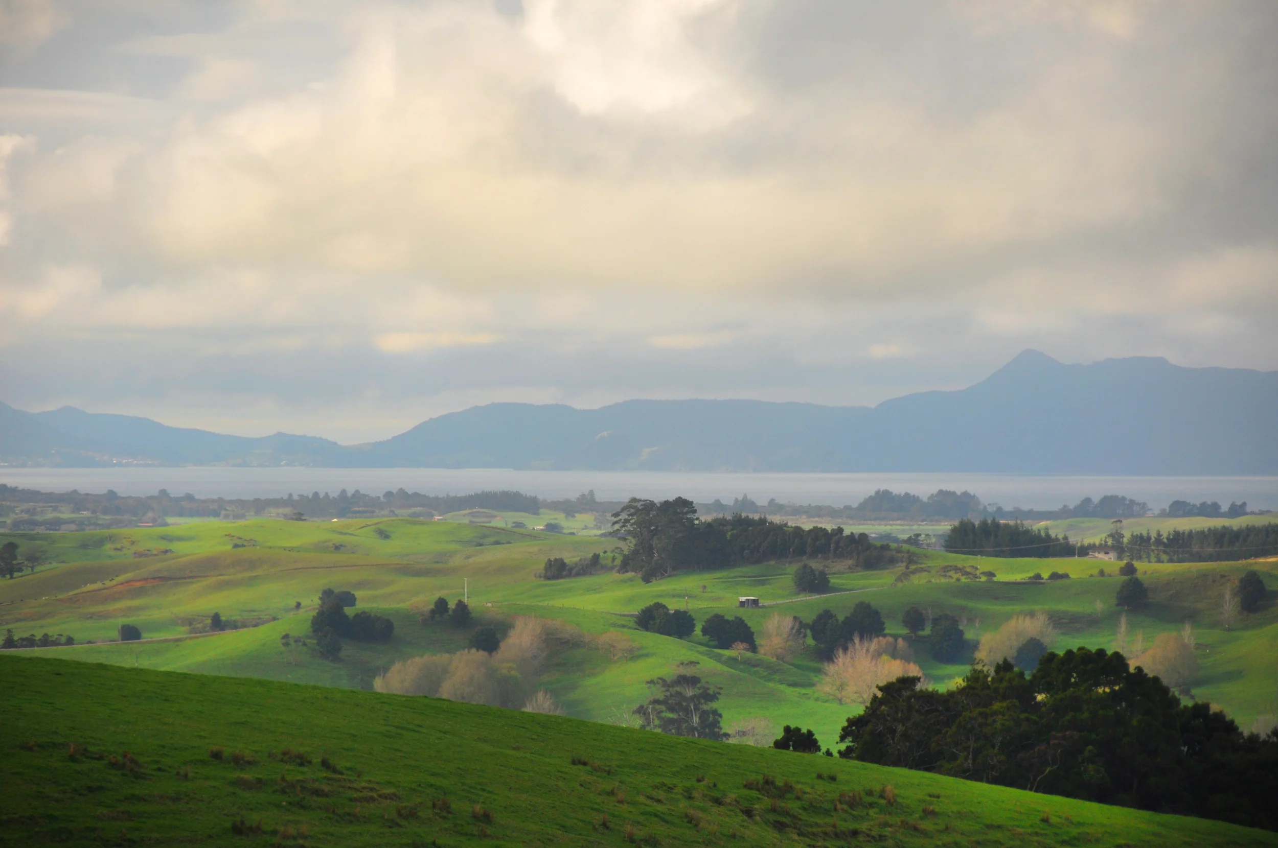 new_zealand_storybook.jpg
