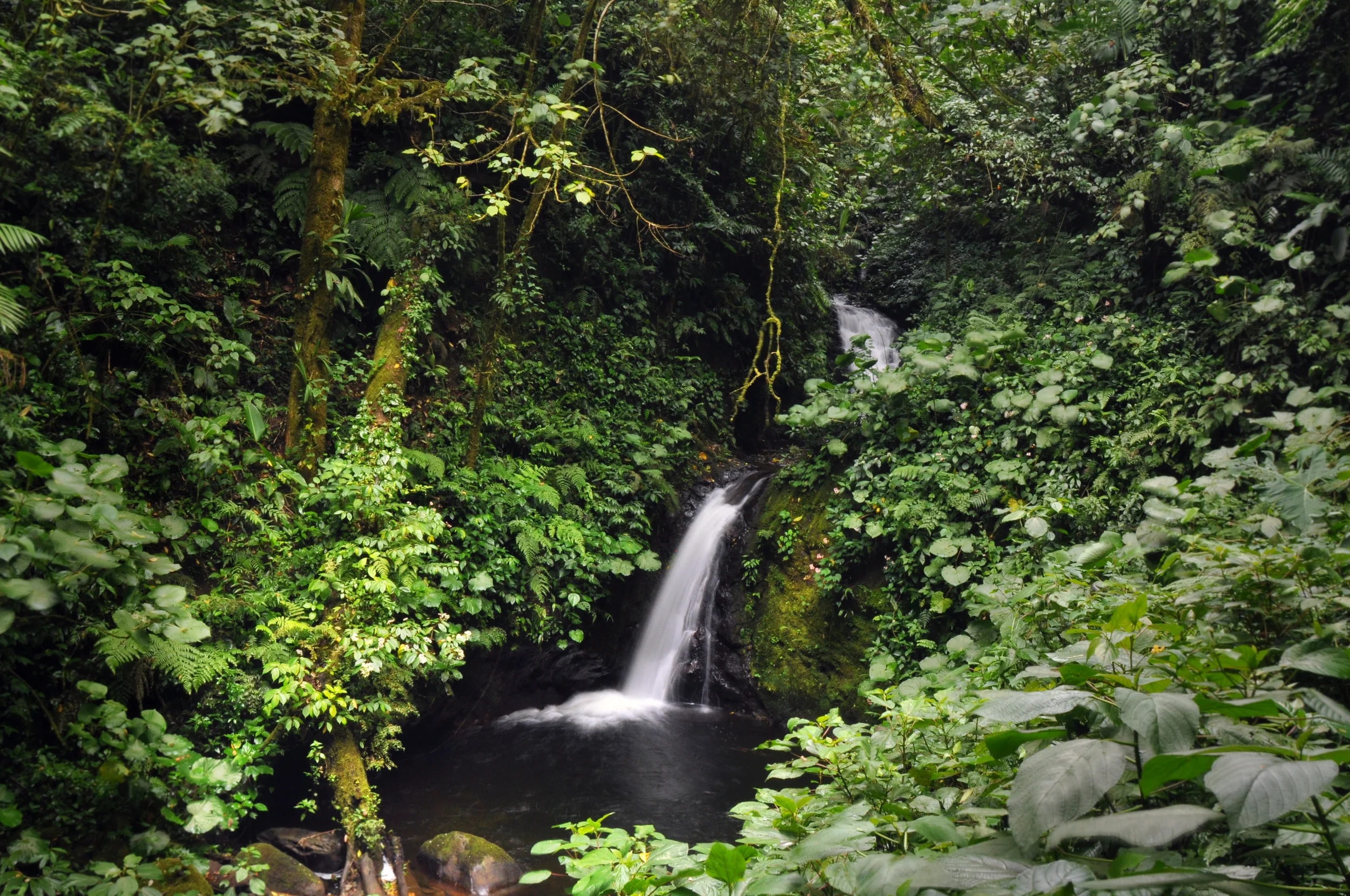 waterfall.jpg