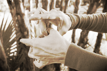 FingerLoopMuscleTesting.jpg