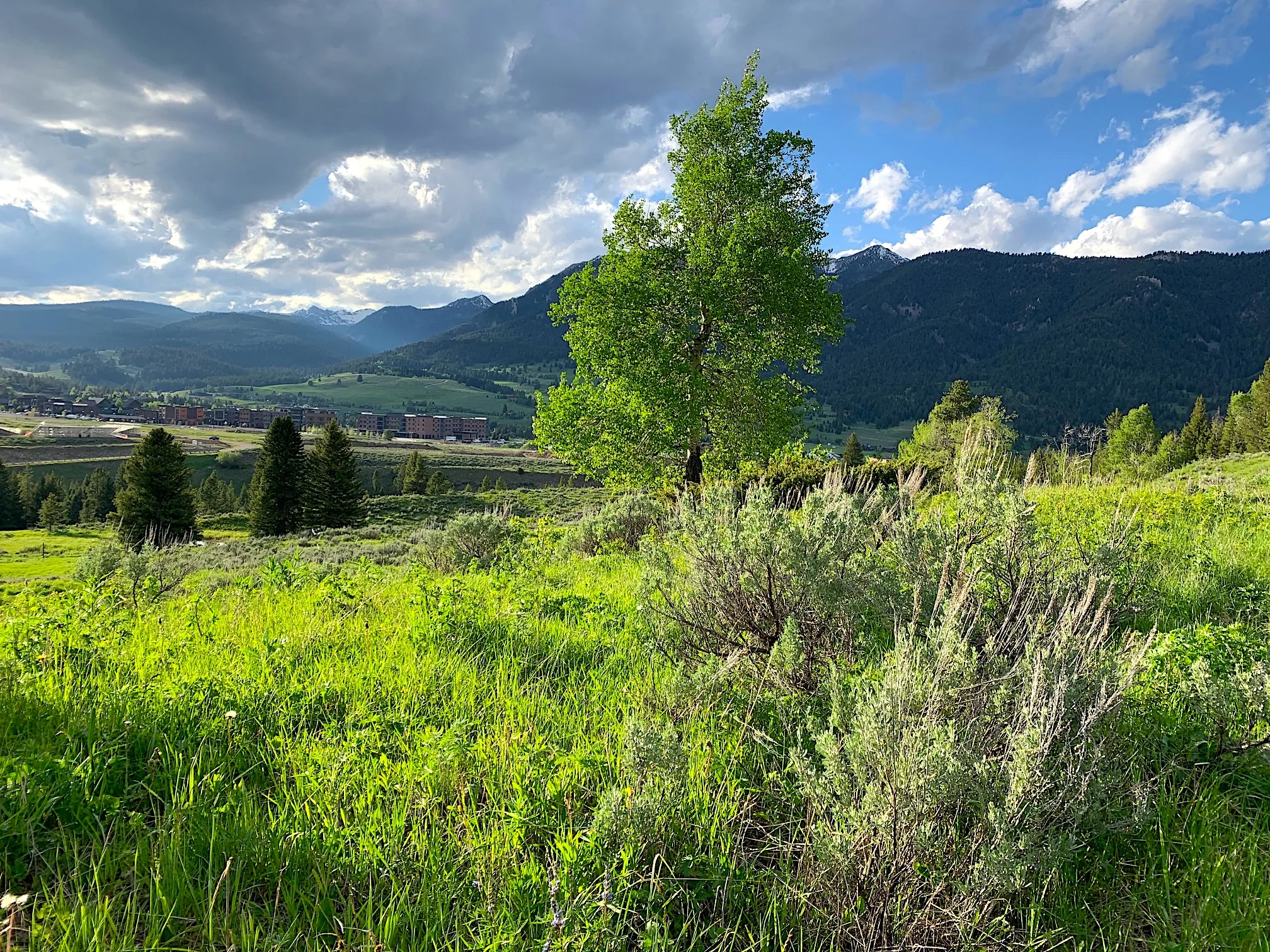 June 2019, Big Sky, Montana