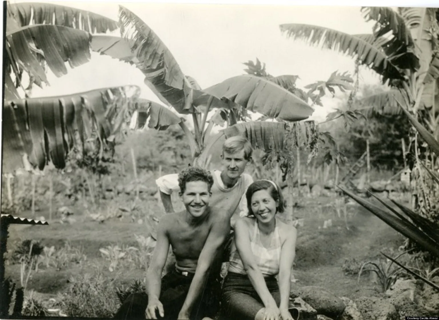 the-galapagos-affair.jpg