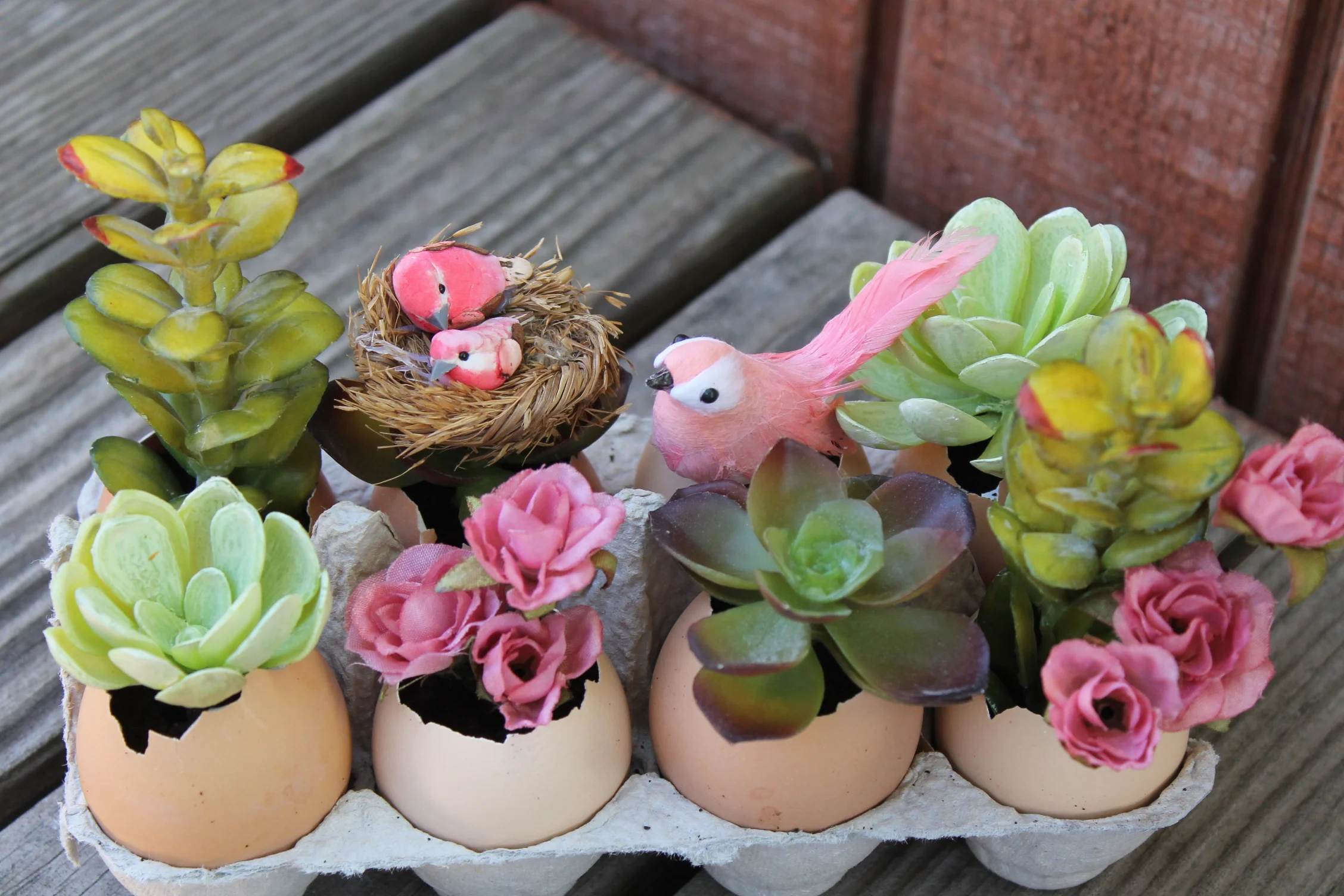 Miniature DIY Eggshell Garden