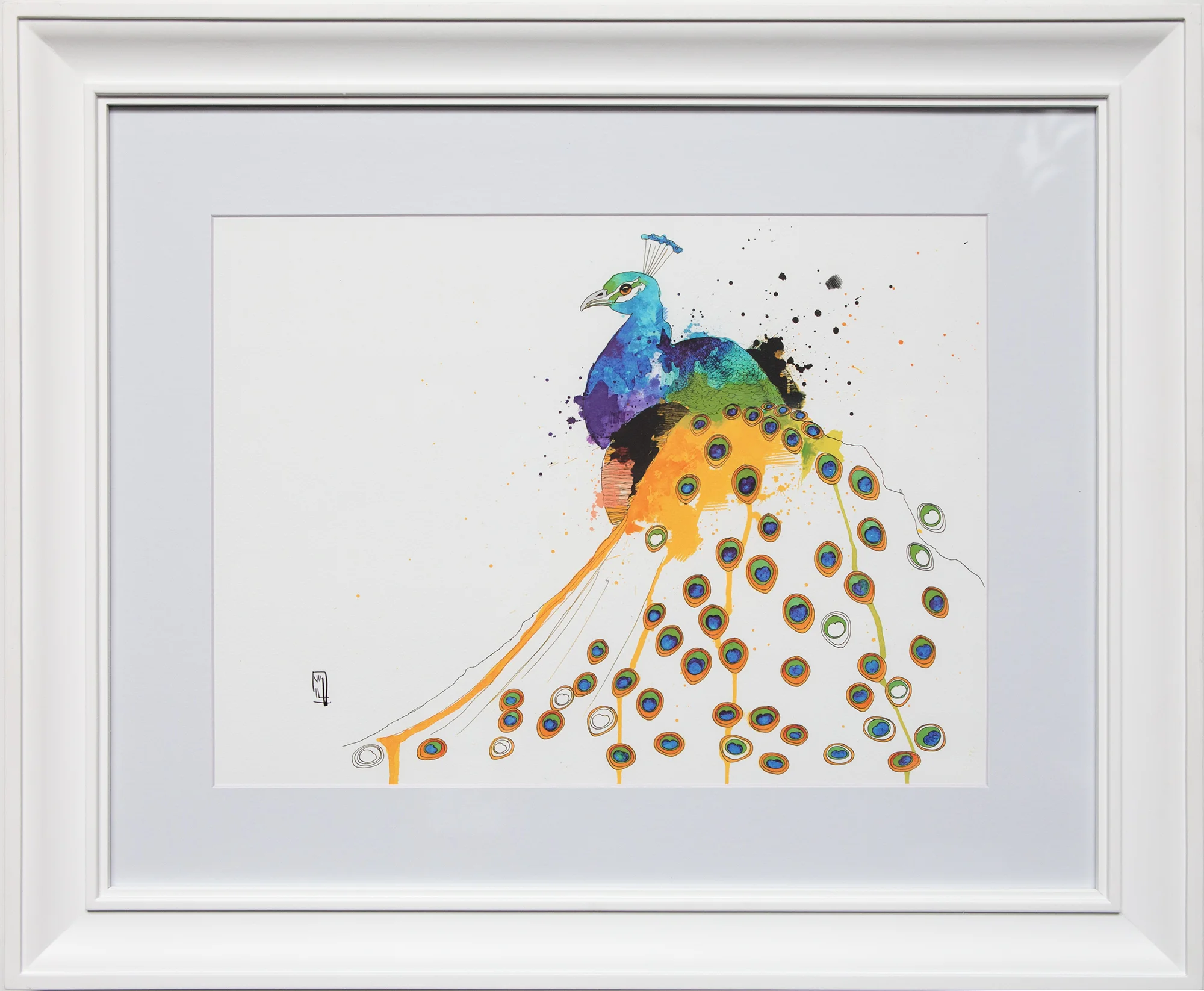 Tail feathers copy.jpg
