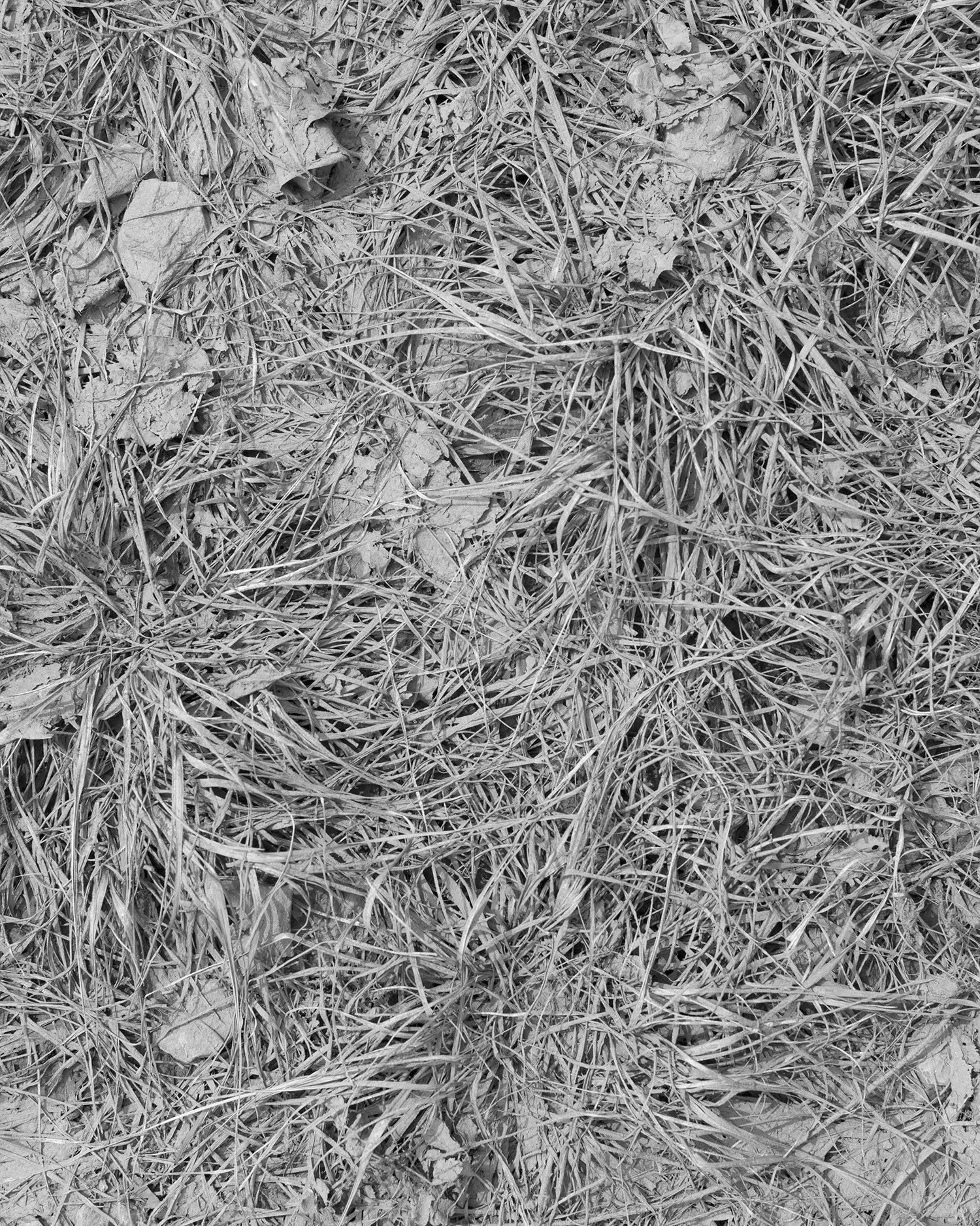 140718_Hazleton072_WEB.jpg