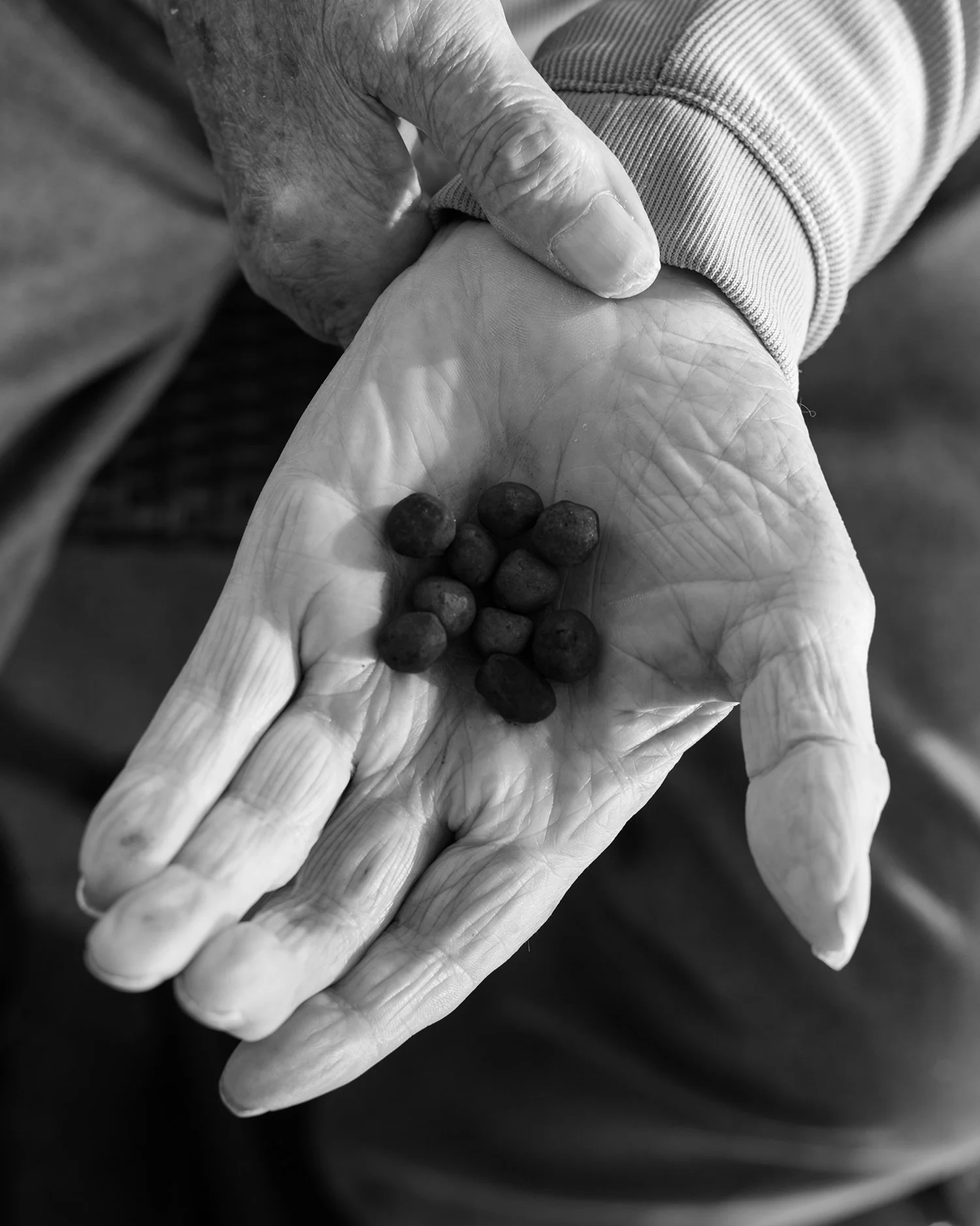 140718_Hazleton156_WEB.jpg