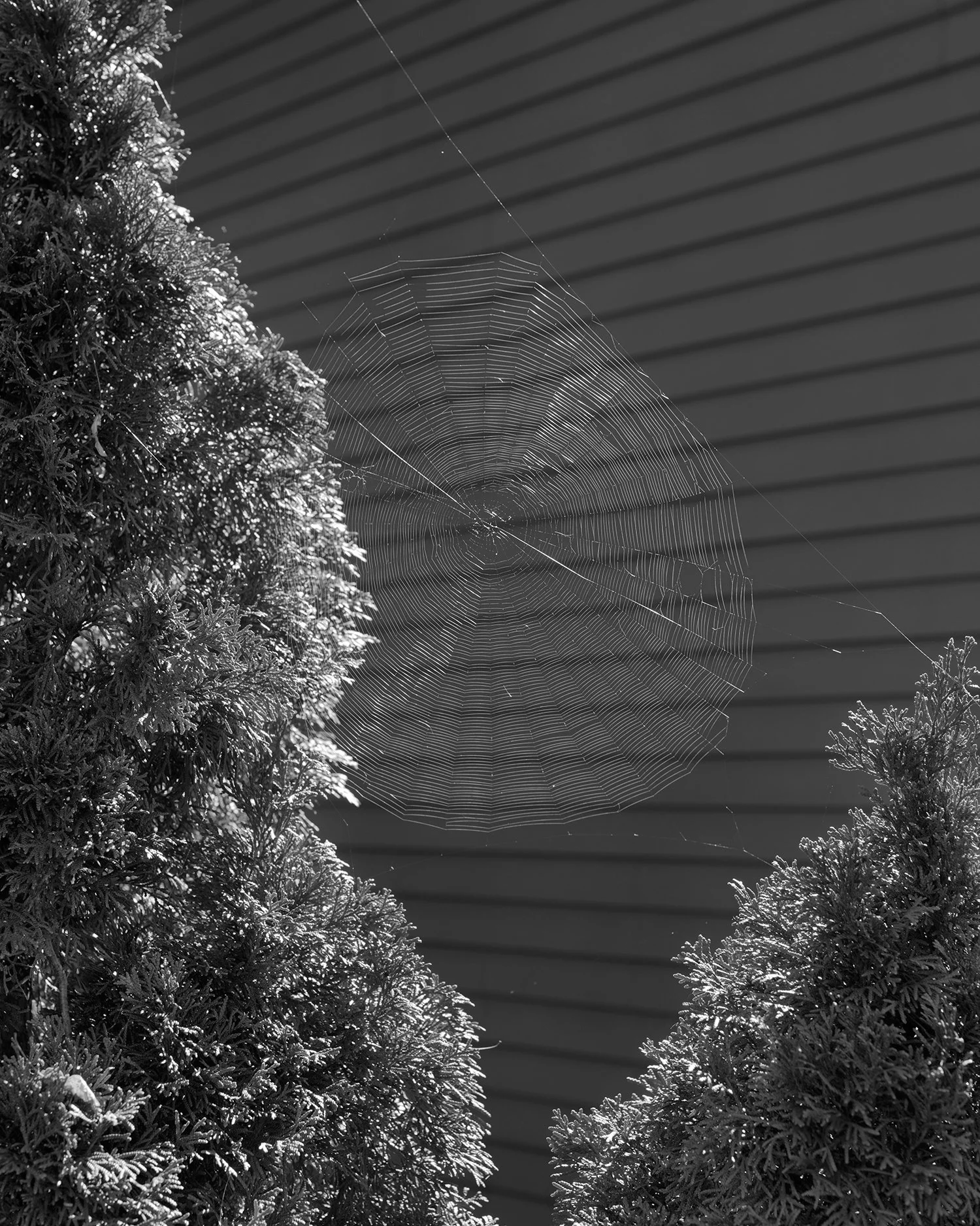 161004_Weekend038_WEB.jpg