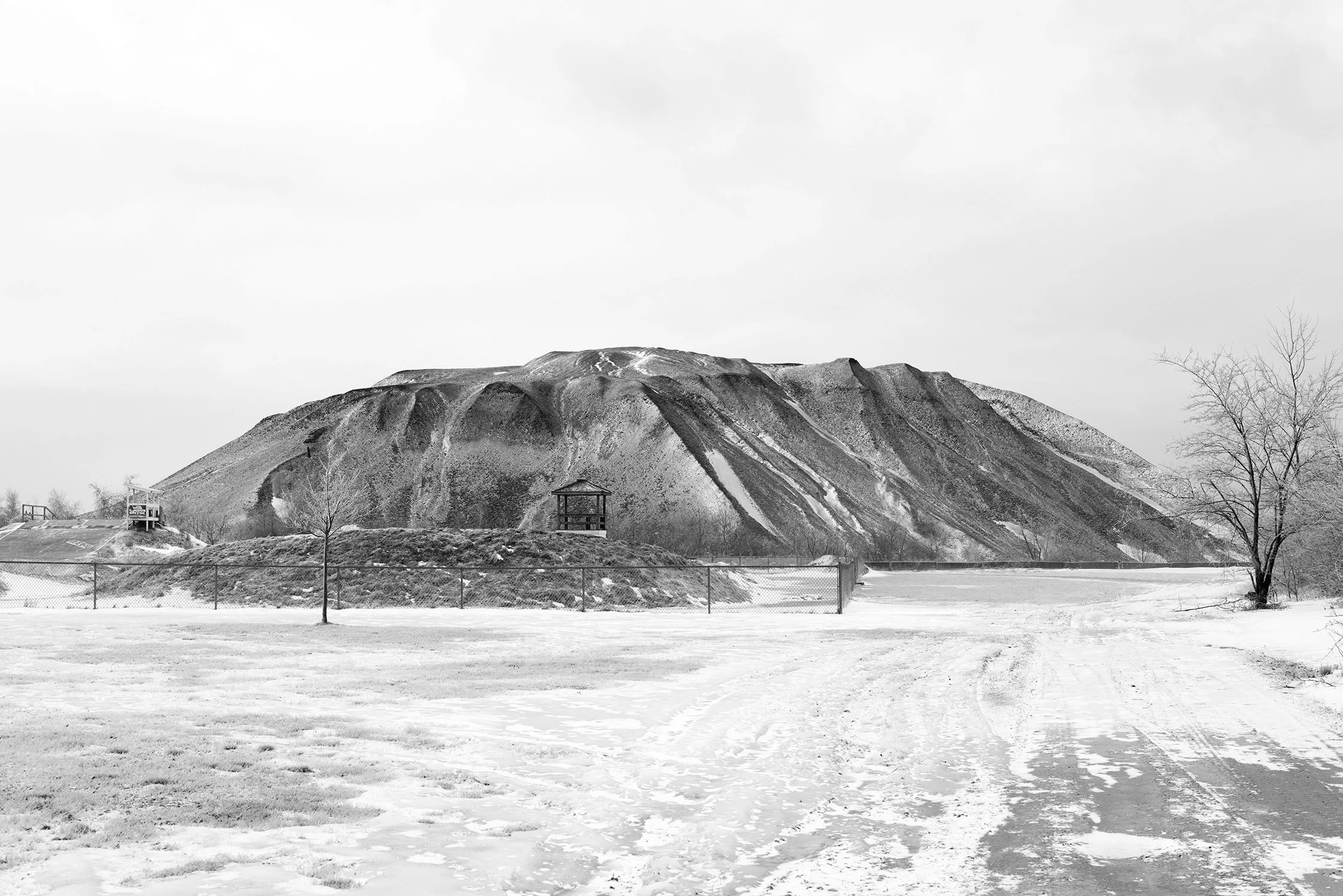 190220_014_WEB.jpg