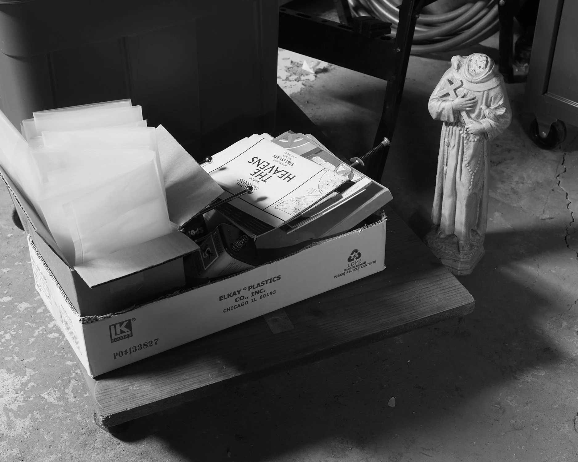 190220_038_WEB.jpg