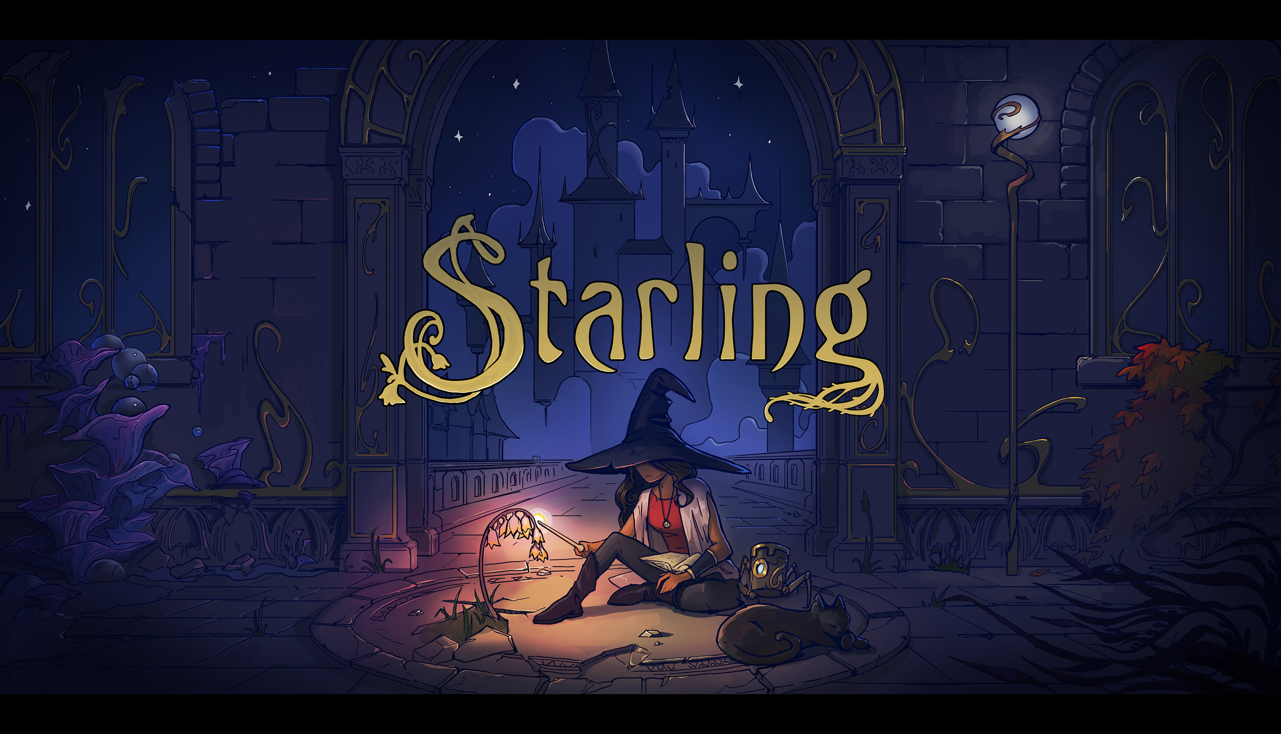 starling_key_4k_03.png