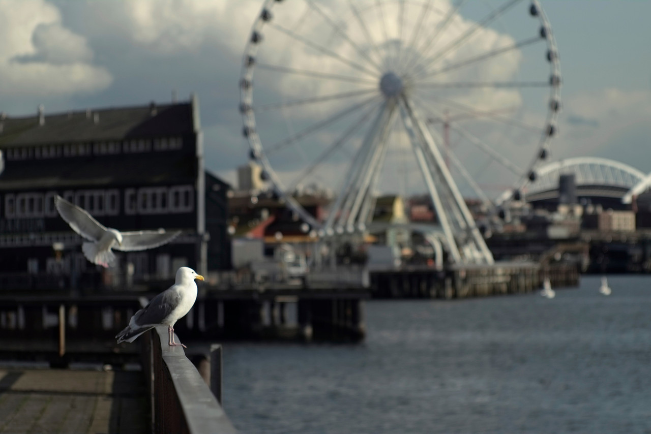 Pier 62, Seattle