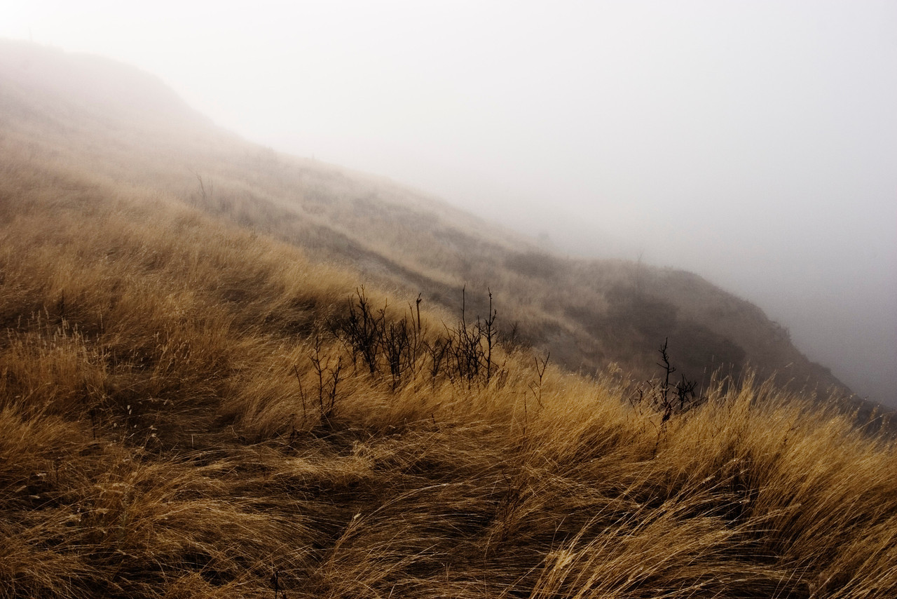 Forlorn