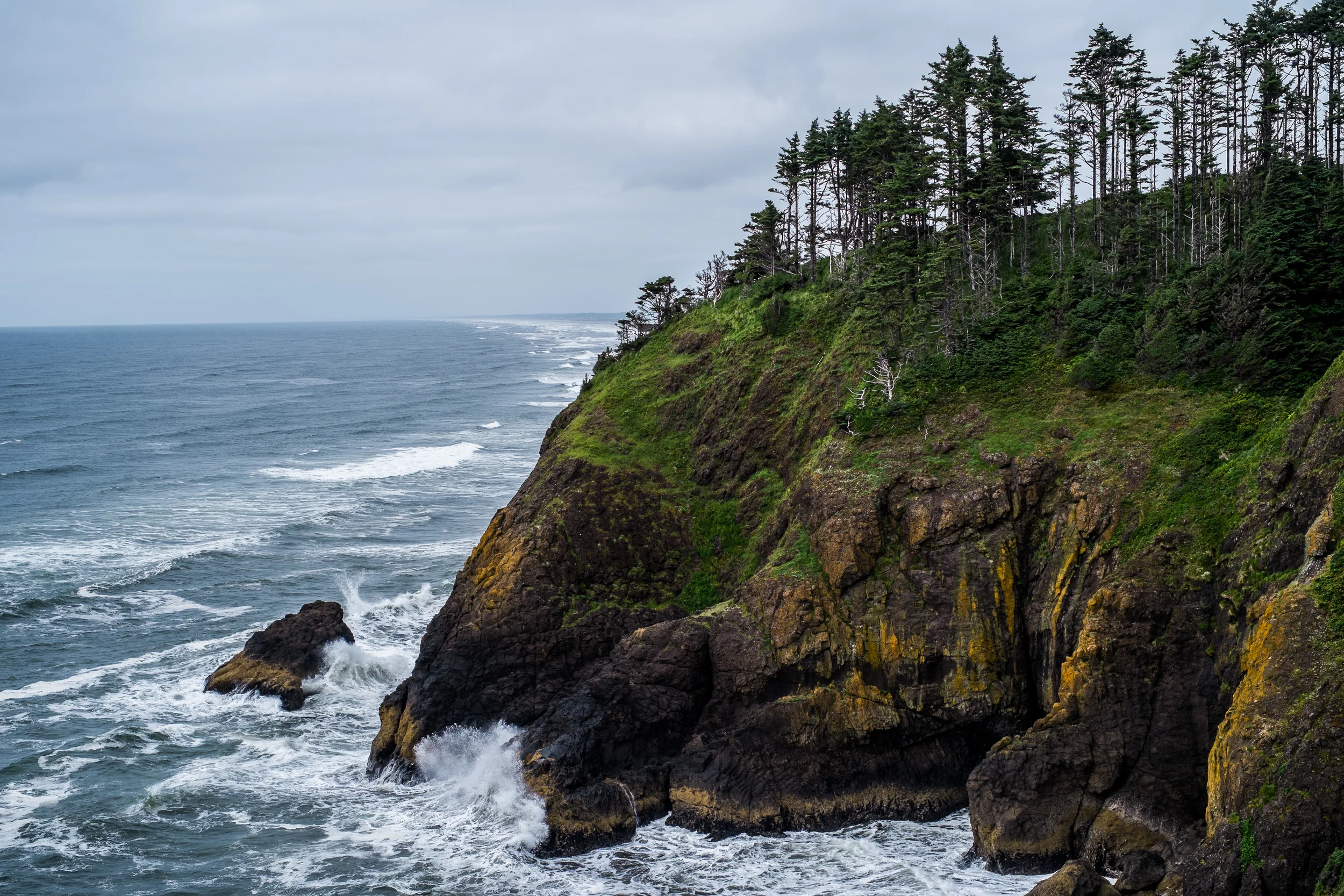 Cape Disappointment