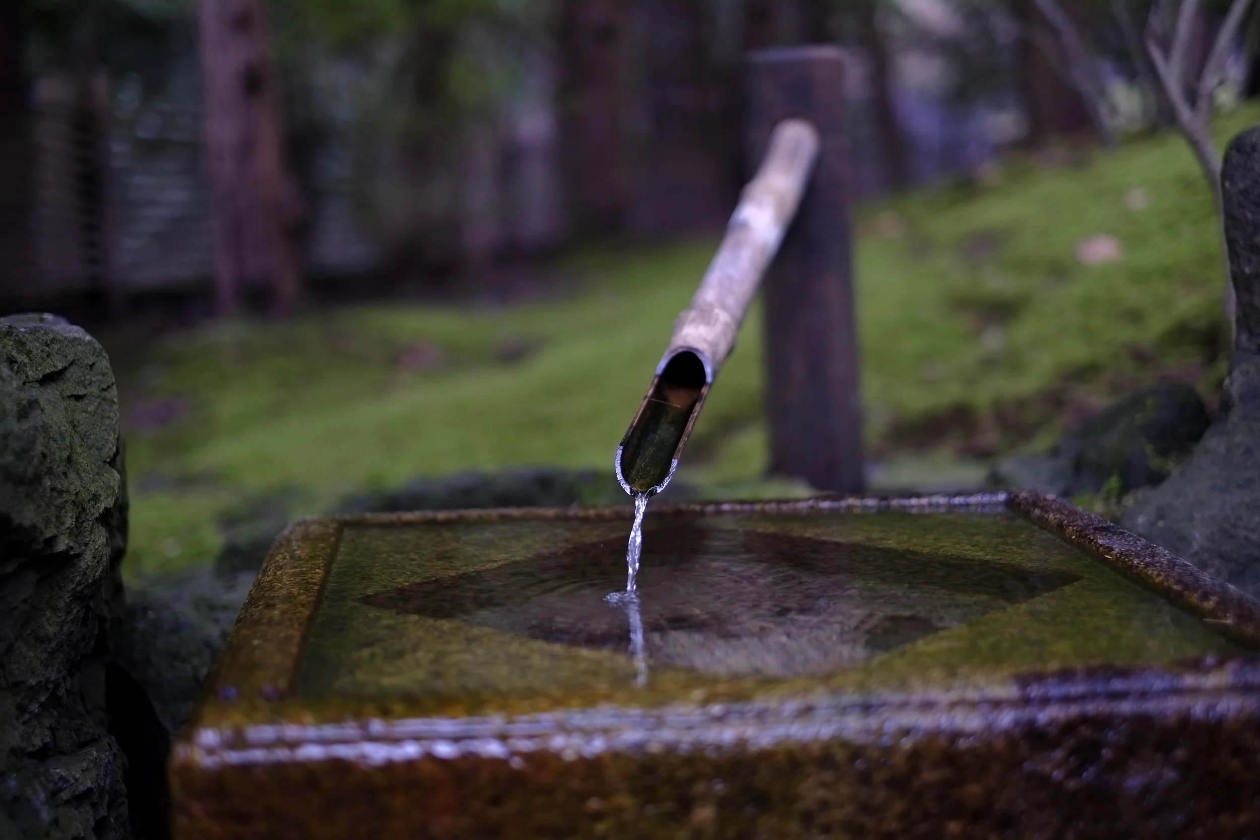 Portland Japanese Garden