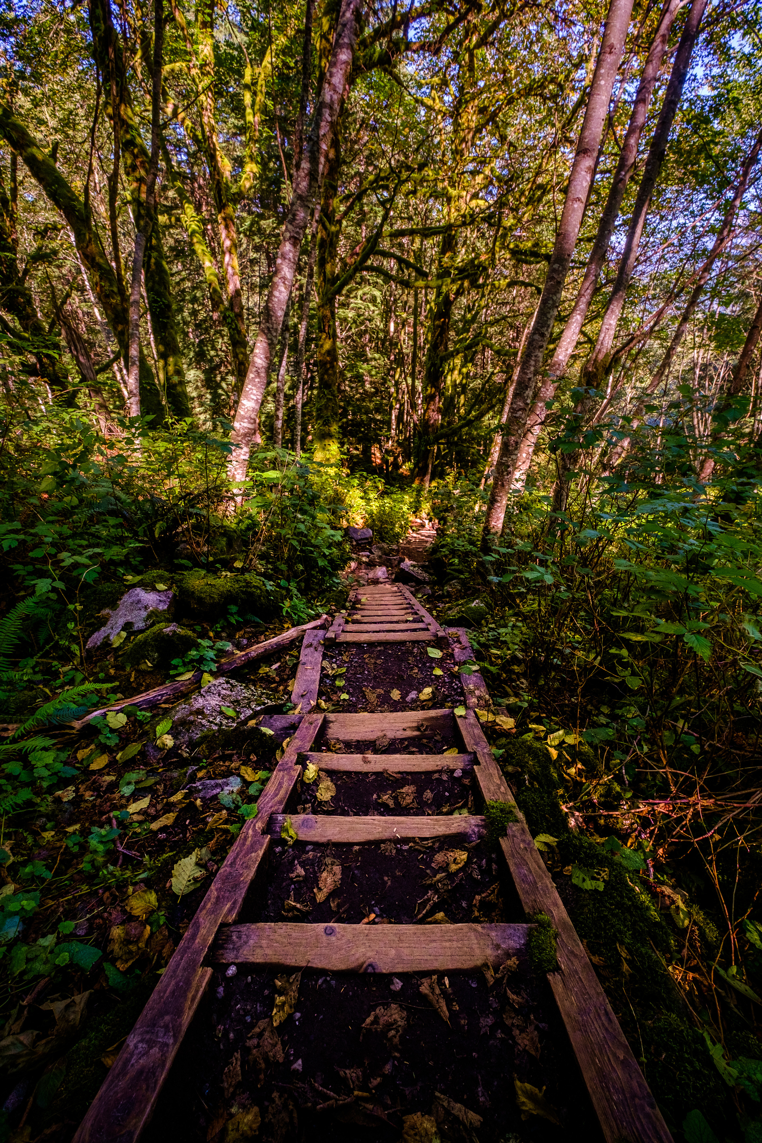 _DSF9096-HDR.jpg