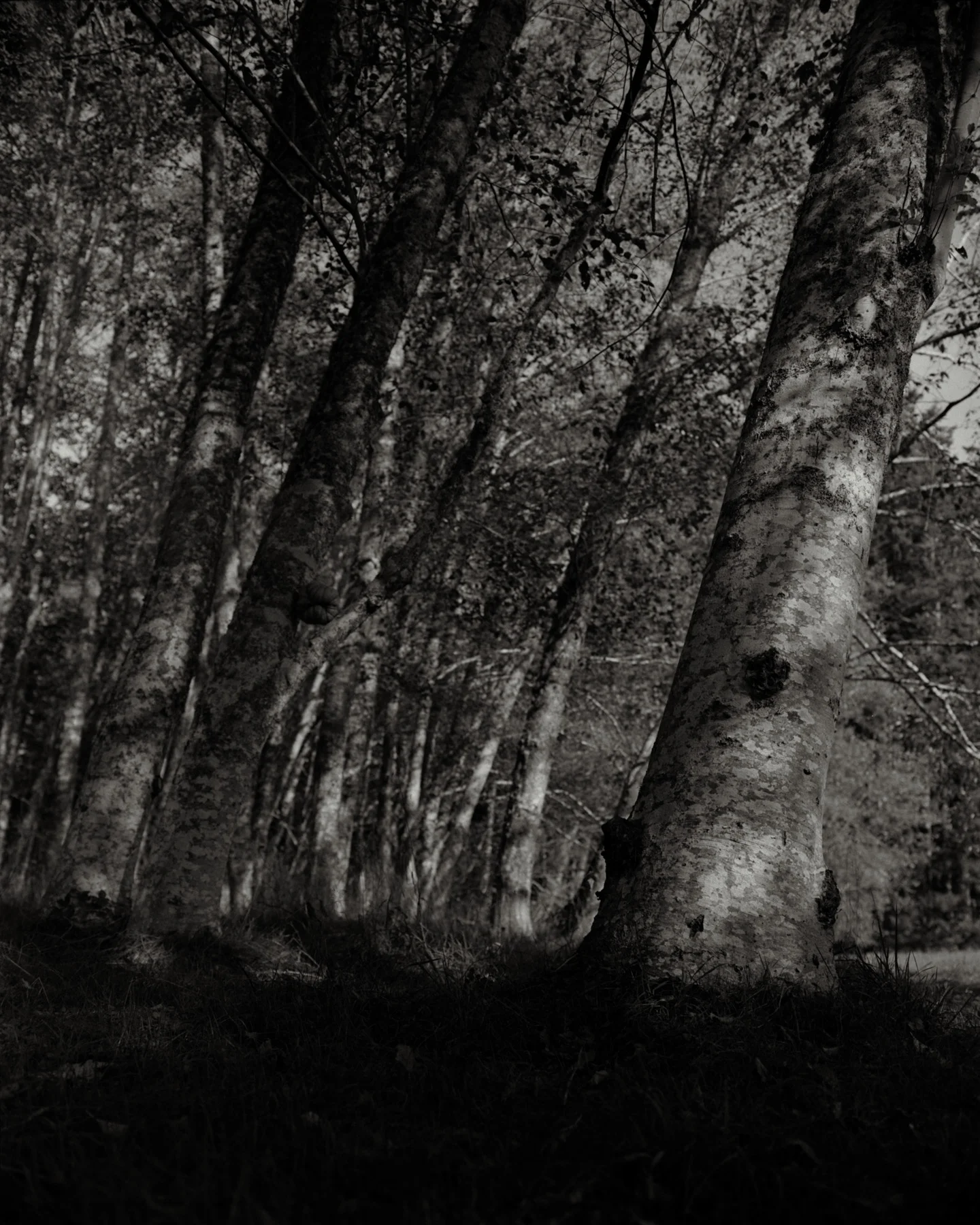 BW120_24_006.jpg