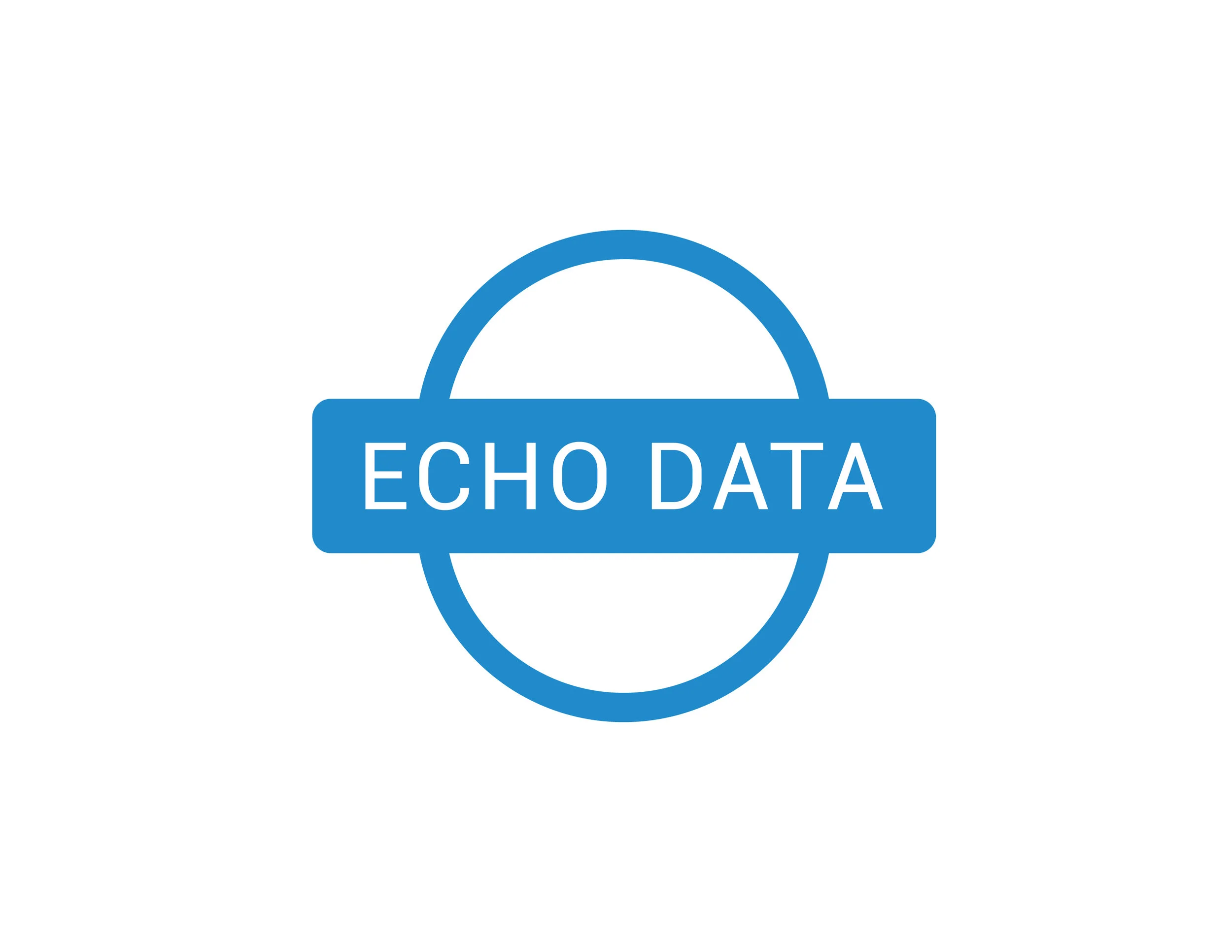 Echo Data Logo Design
